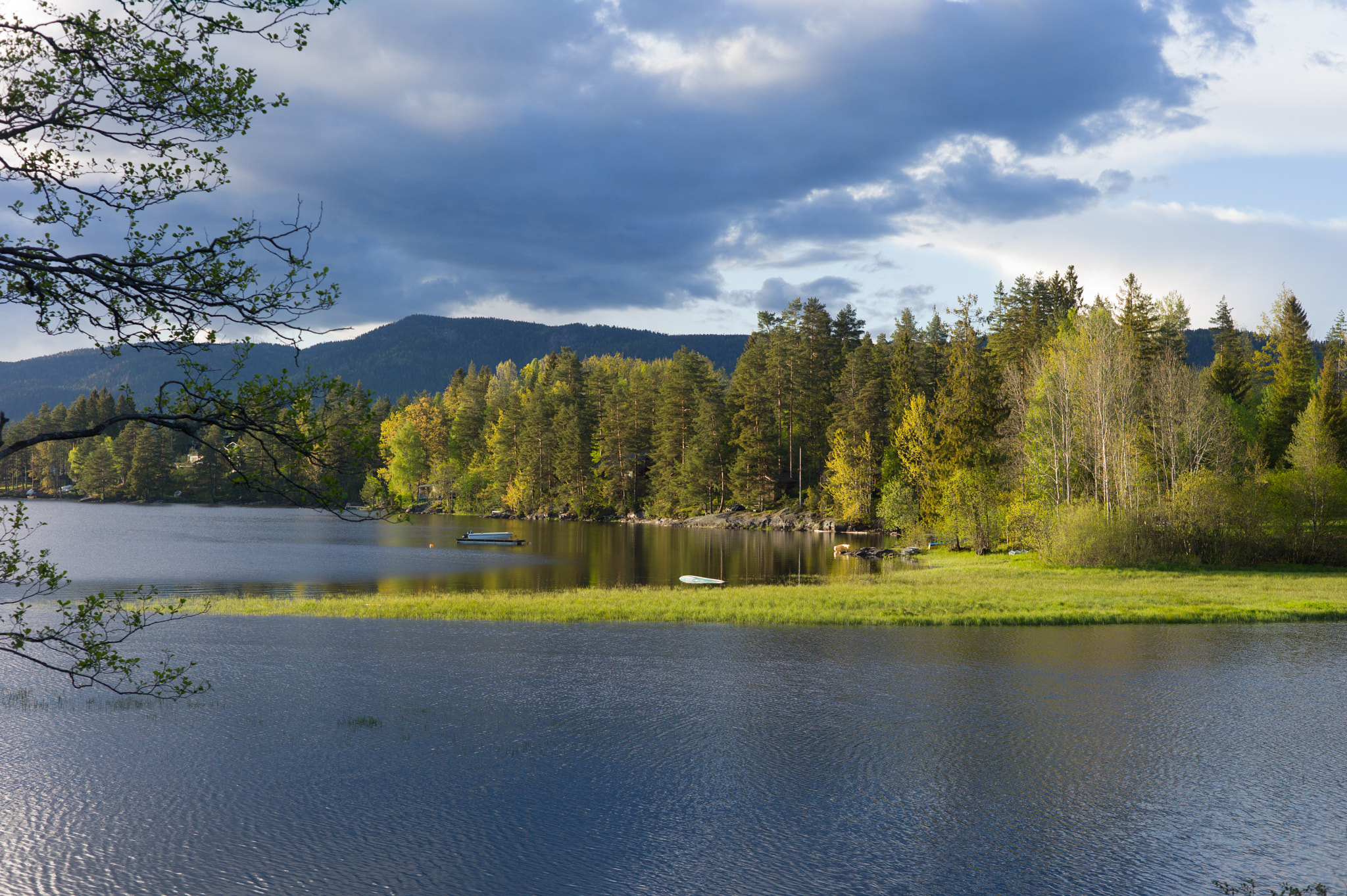 Leica M9 + Summicron-M 50mm f/2 (III) sample photo. Bergsvannet lake by hof photography