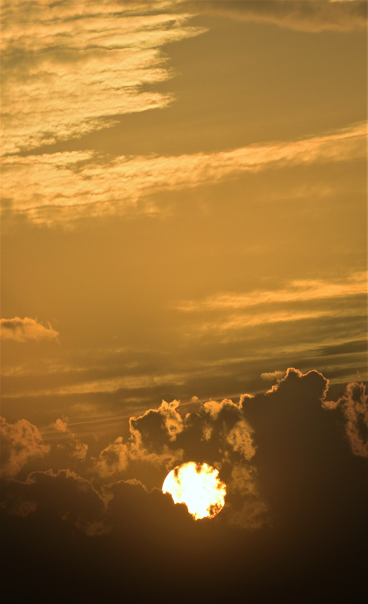 Nikon AF-S Nikkor 200-500mm F5.6E ED VR sample photo. Sunset photography