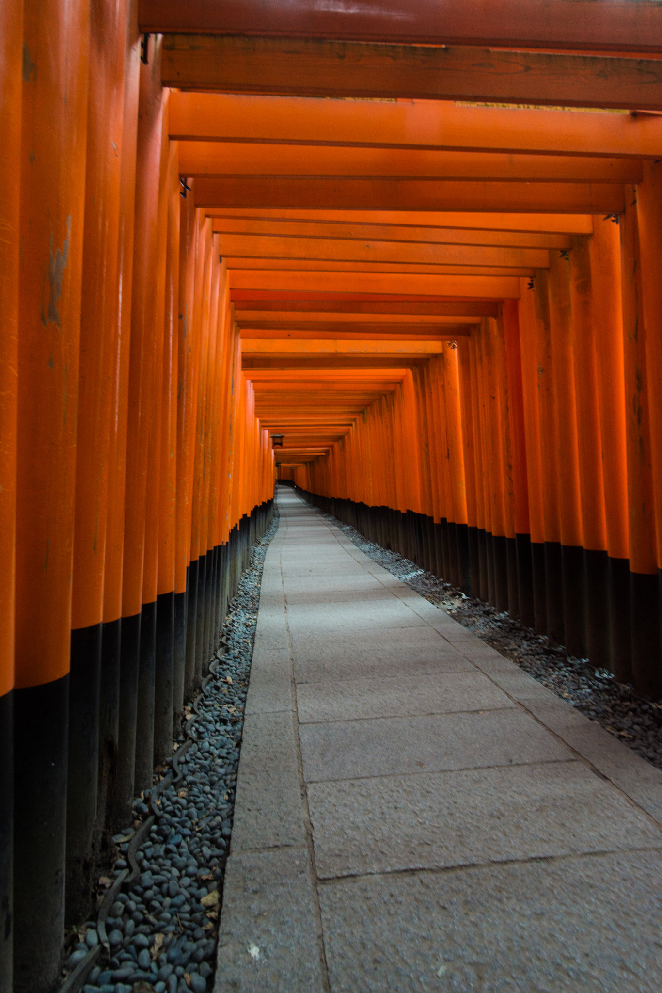 Nikon D610 + Nikon AF-S Nikkor 20mm F1.8G ED sample photo. Gates in kyoto - fushimi inari-taisha photography