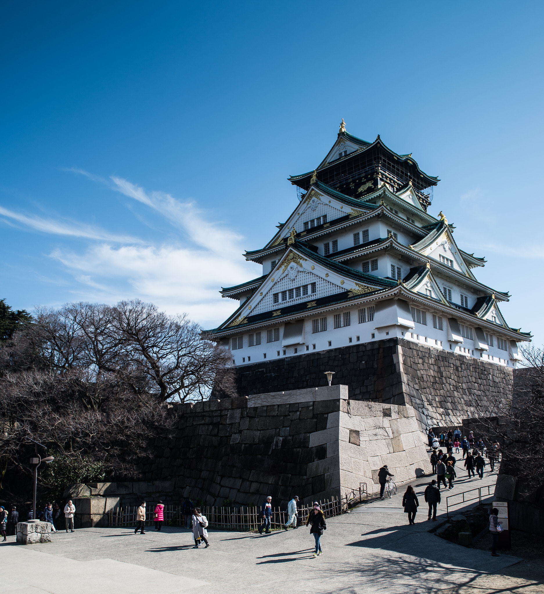 Nikon D610 + Sigma 24-70mm F2.8 EX DG HSM sample photo. Osaka castle photography