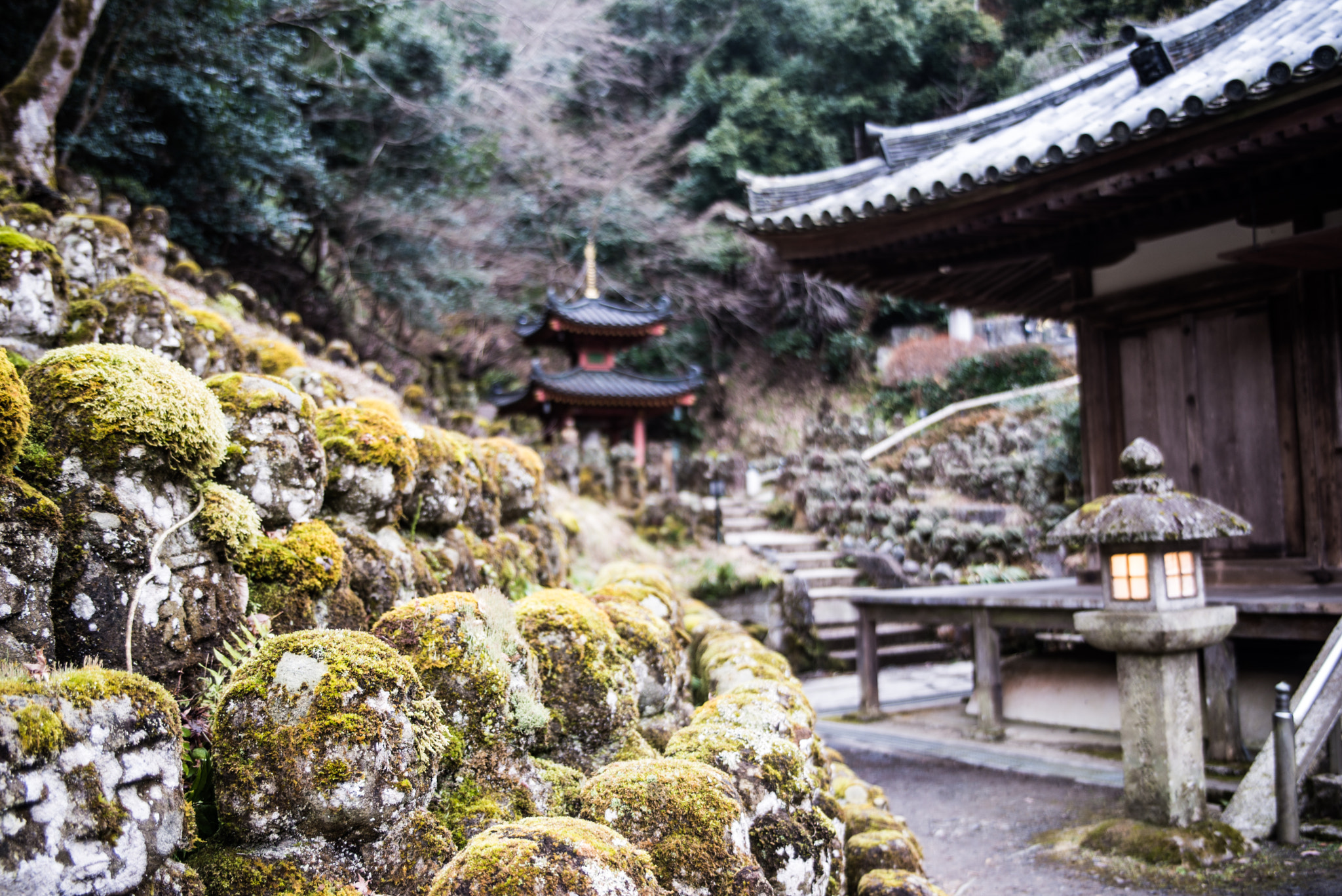 Sigma 24-70mm F2.8 EX DG HSM sample photo. Temple in kyoto photography