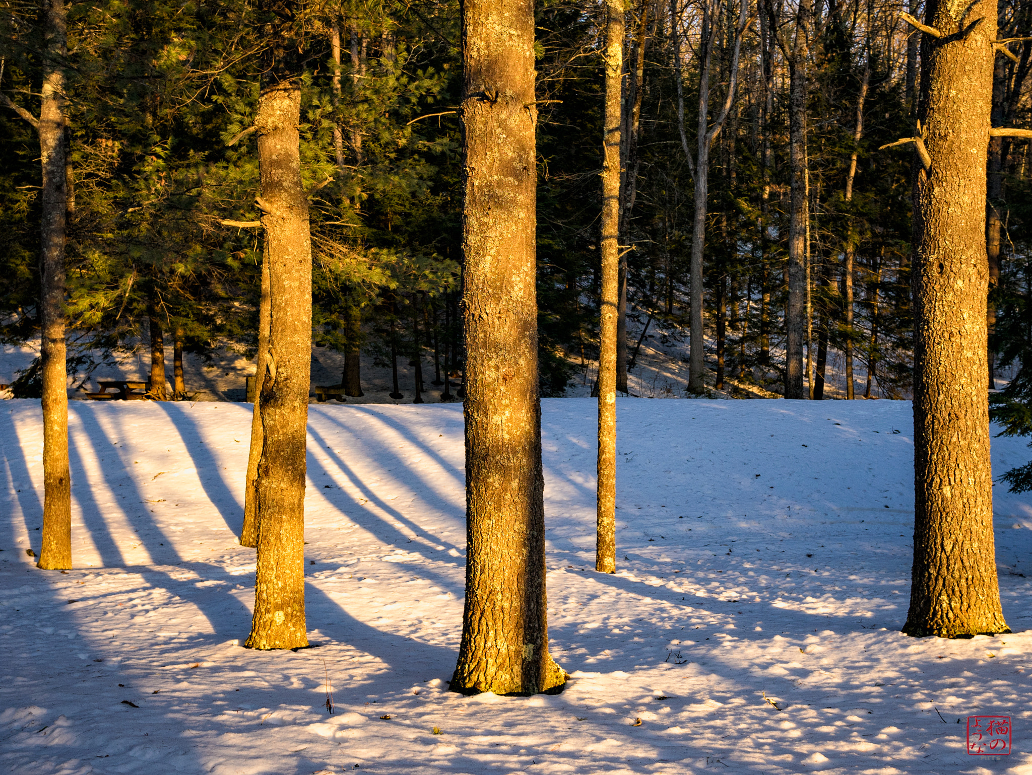 Sony a7 sample photo. The warmth of the sun photography