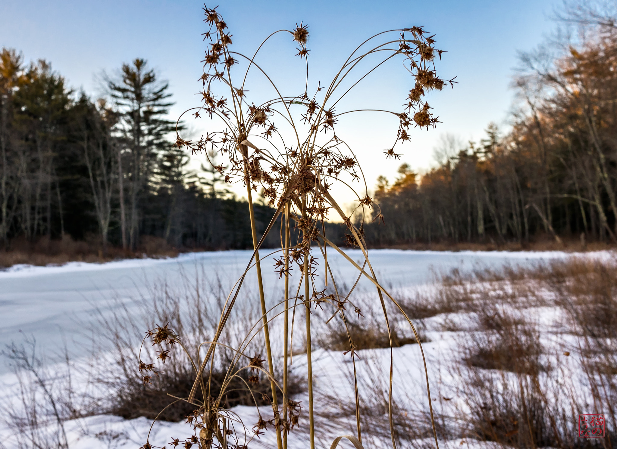 Sony a7 sample photo. In the afternoon photography