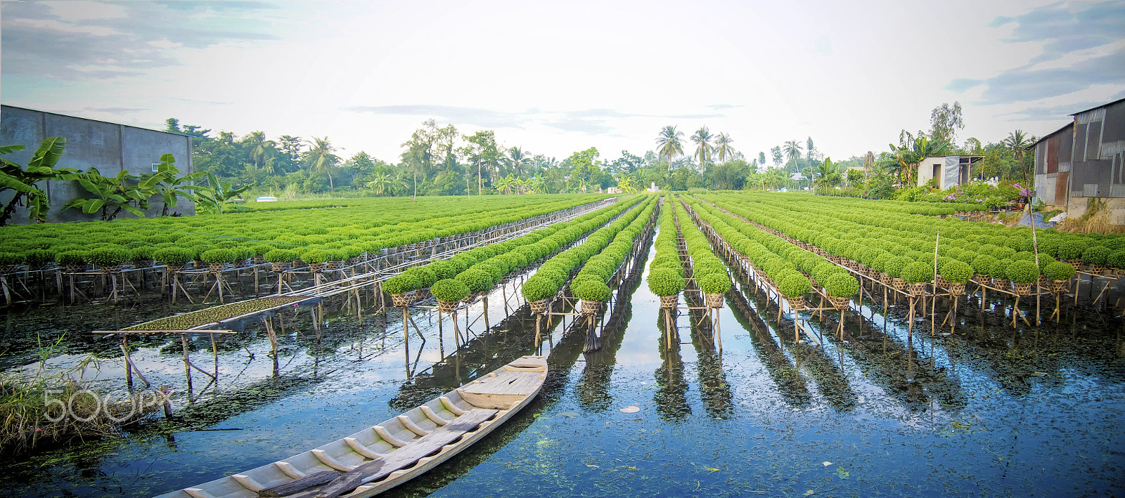 Olympus PEN E-PL5 sample photo. Sadec - vietnam photography