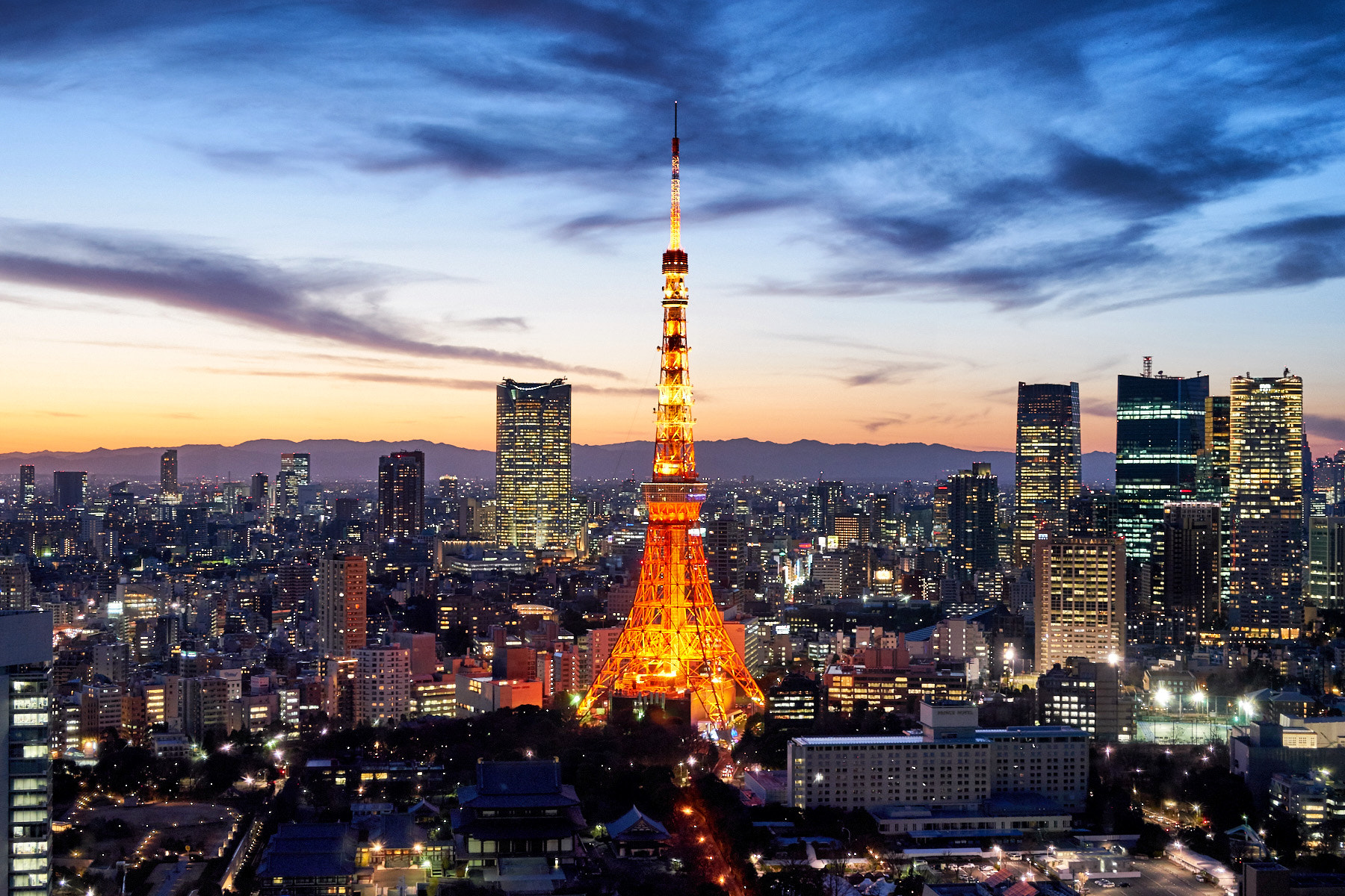 Sony Planar T* 50mm F1.4 ZA SSM sample photo. Tokyo tower photography