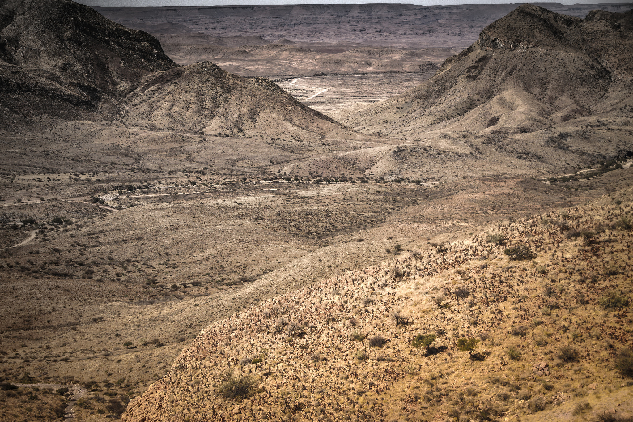 Canon EOS 50D sample photo. Olive trail photography