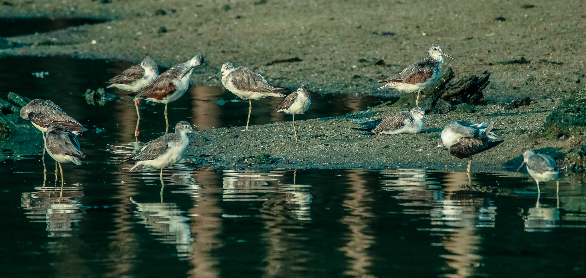 150-600mm F5-6.3 DG OS HSM | Contemporary 015 sample photo