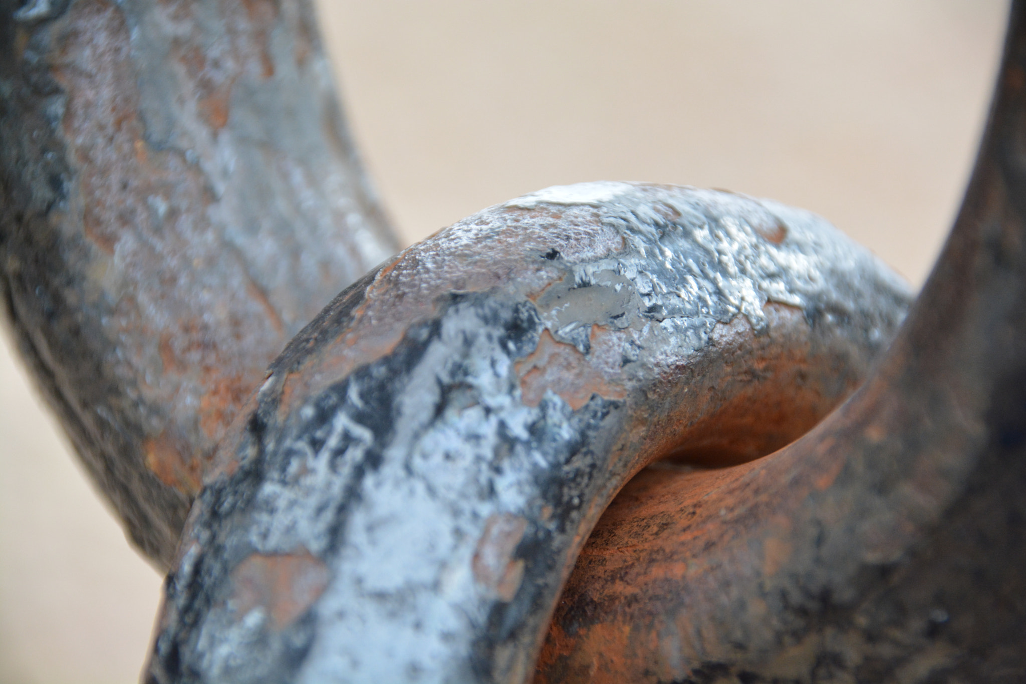 Sigma 18-250mm F3.5-6.3 DC Macro OS HSM sample photo. Something  photography