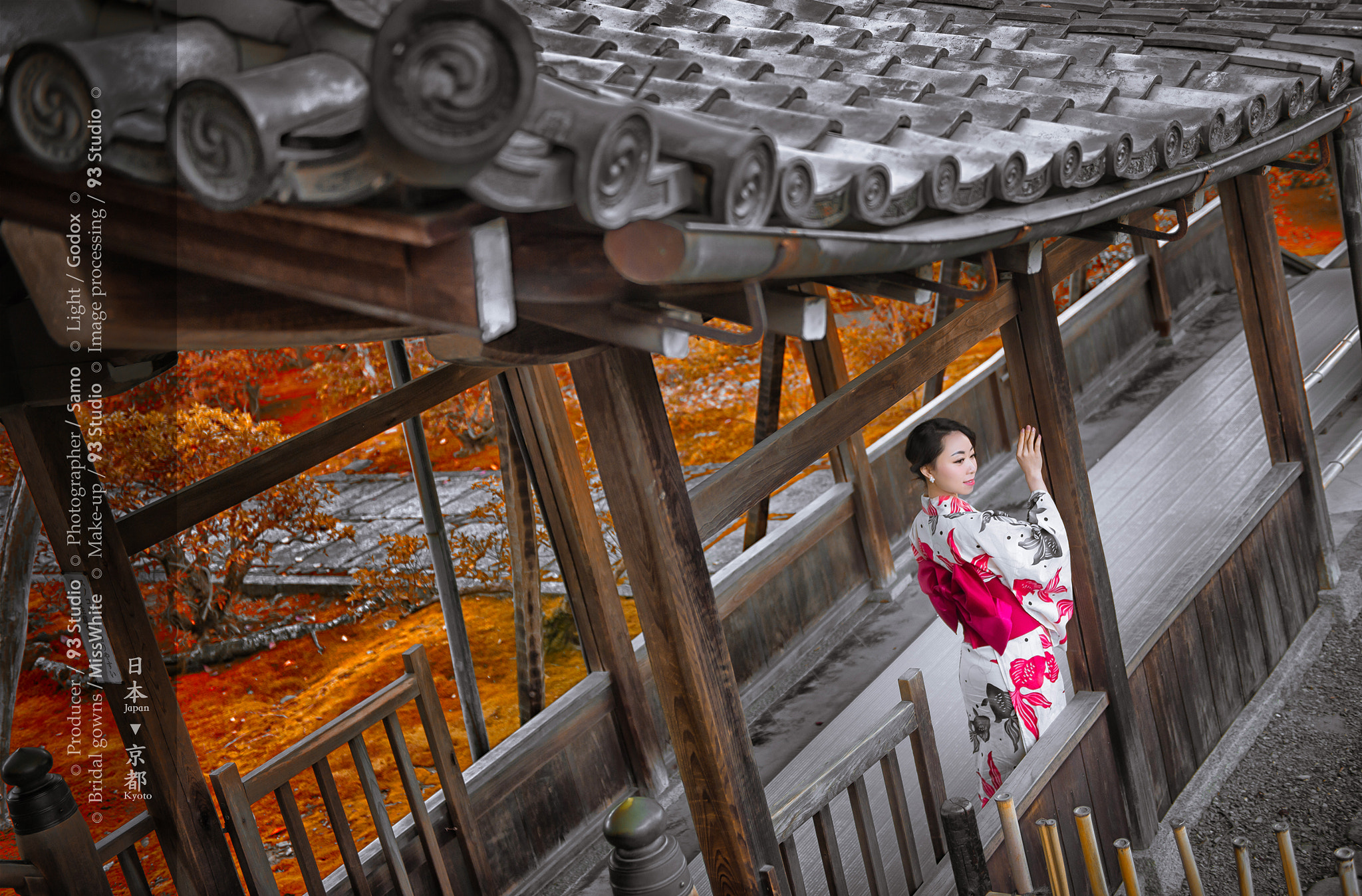 Nikon D4S sample photo. 终落萧萧，忧非可自疗… photography