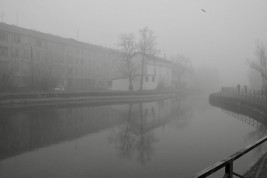 Olympus OM-D E-M1 sample photo. Riding on a foggy day photography
