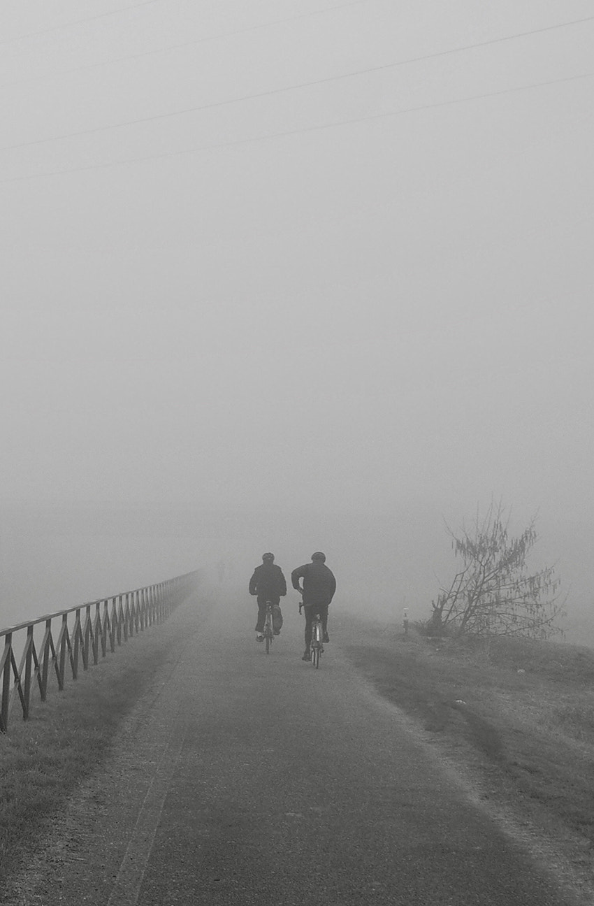Olympus OM-D E-M1 sample photo. Goin' south photography
