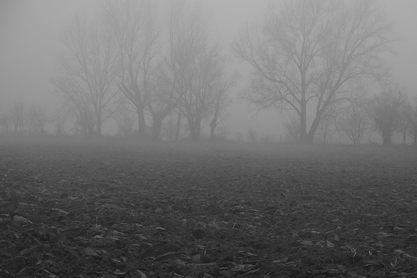 Olympus OM-D E-M1 sample photo. Nowhereland photography