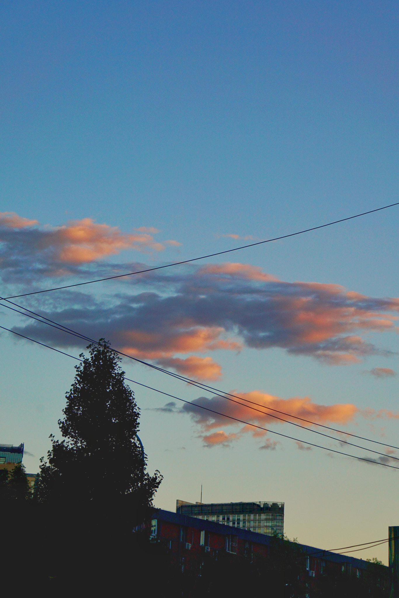 Sony a5100 sample photo. Sunset, clouds and lines photography