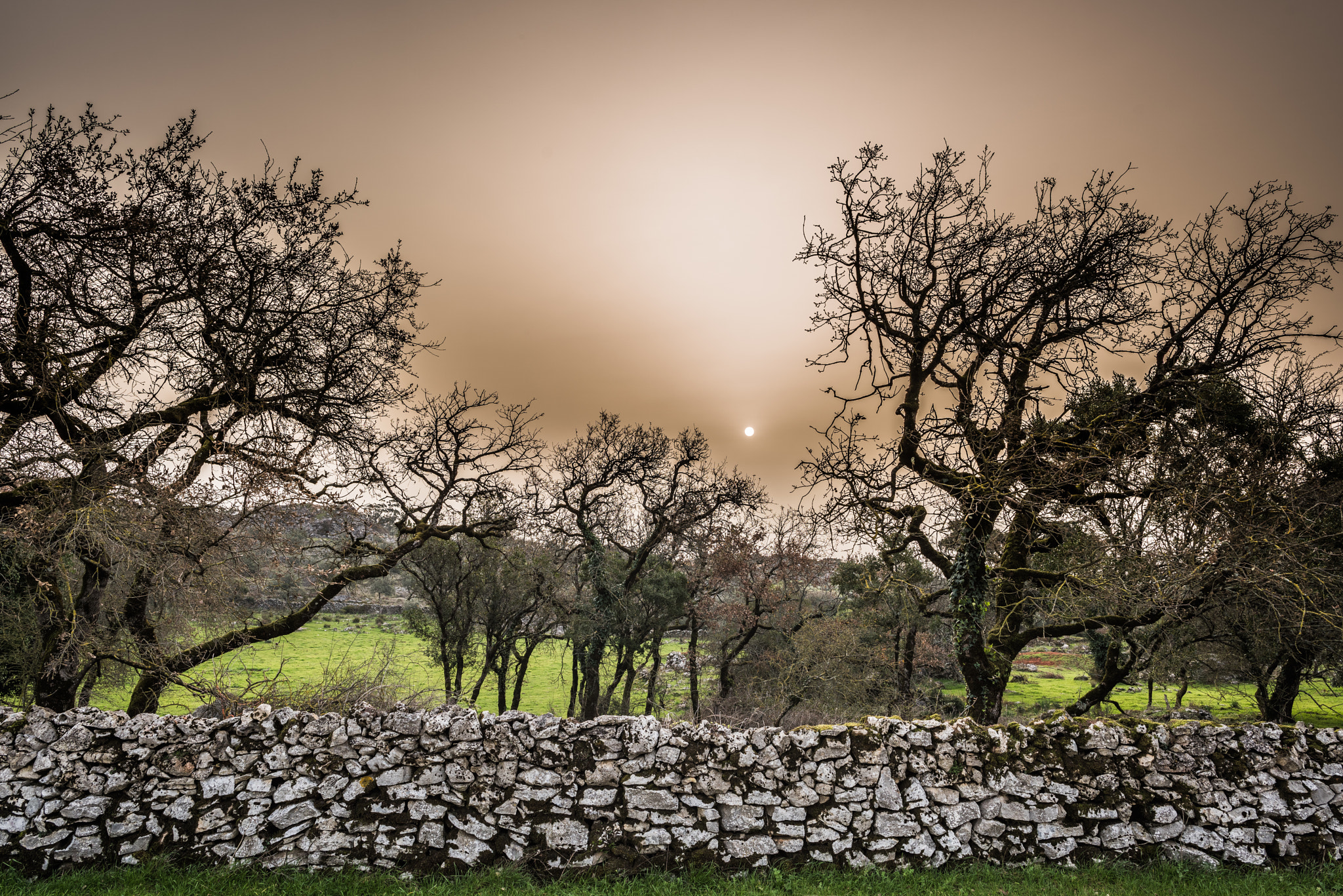 Nikon AF-S Nikkor 24mm F1.4G ED sample photo. Sunrise in moliana photography