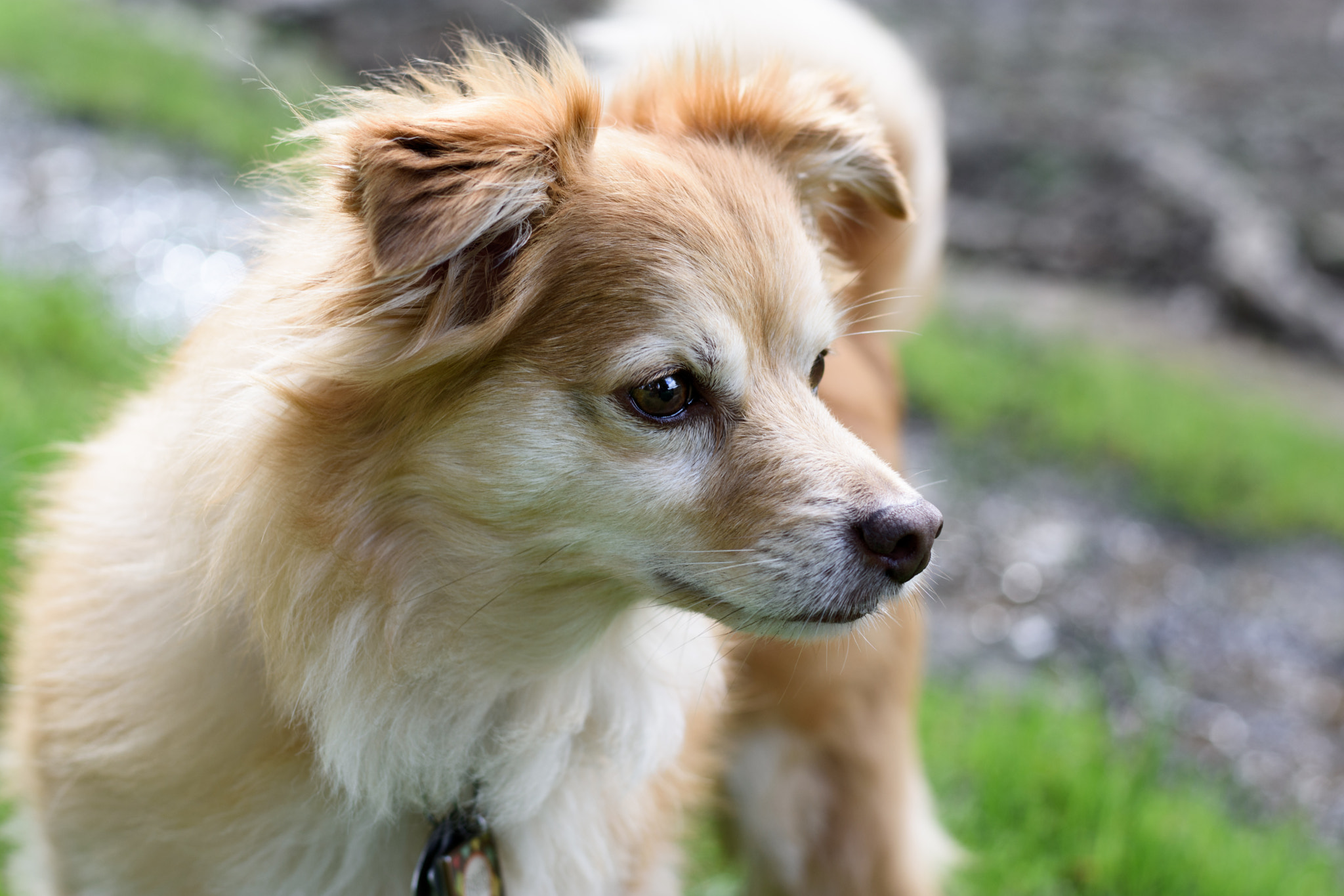 Nikon D3400 + Nikon AF-S Nikkor 50mm F1.8G sample photo. Old soul photography