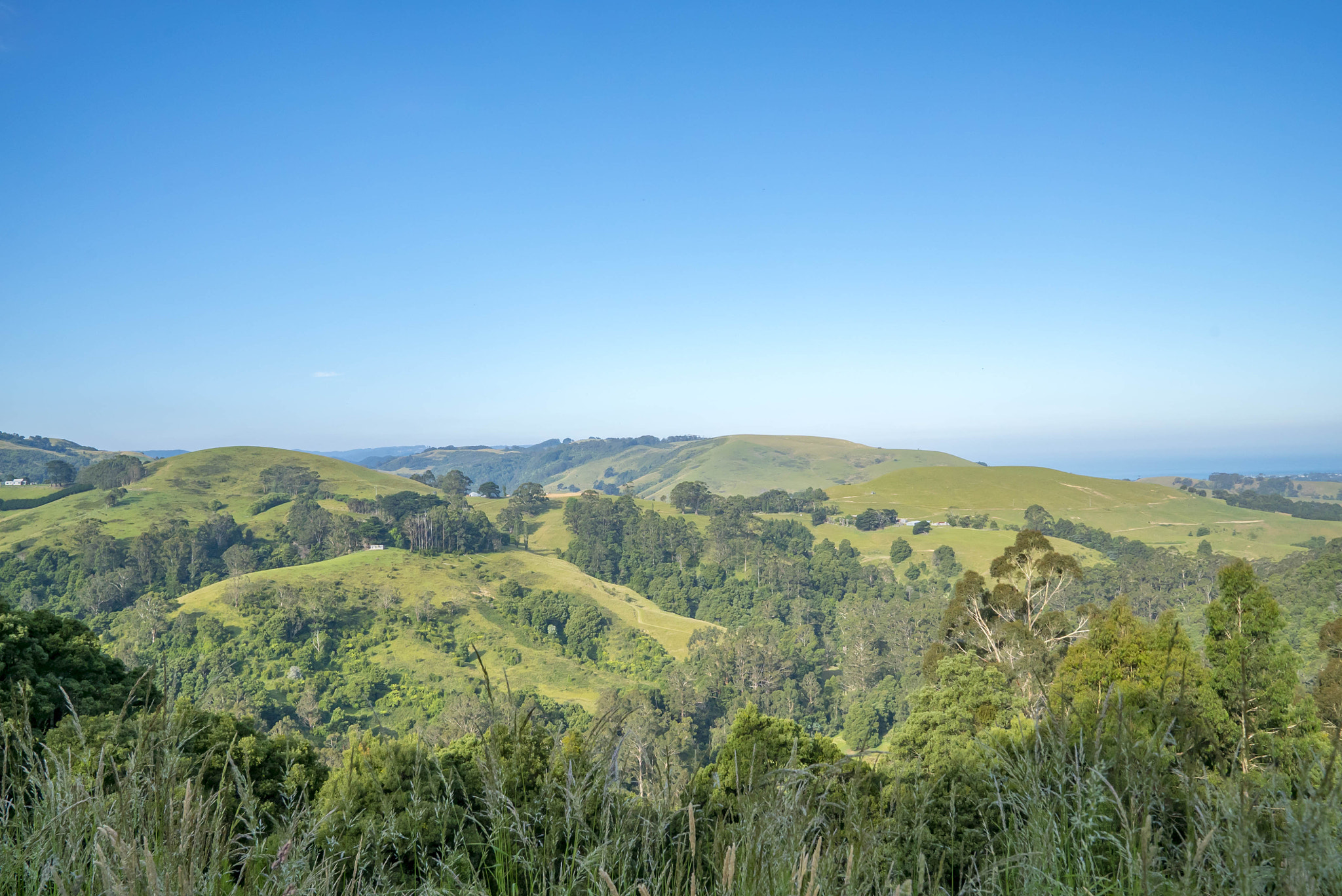 Sony a7S II + Sony FE 24-70mm F2.8 GM sample photo. Great otway national park along the great ocean road photography