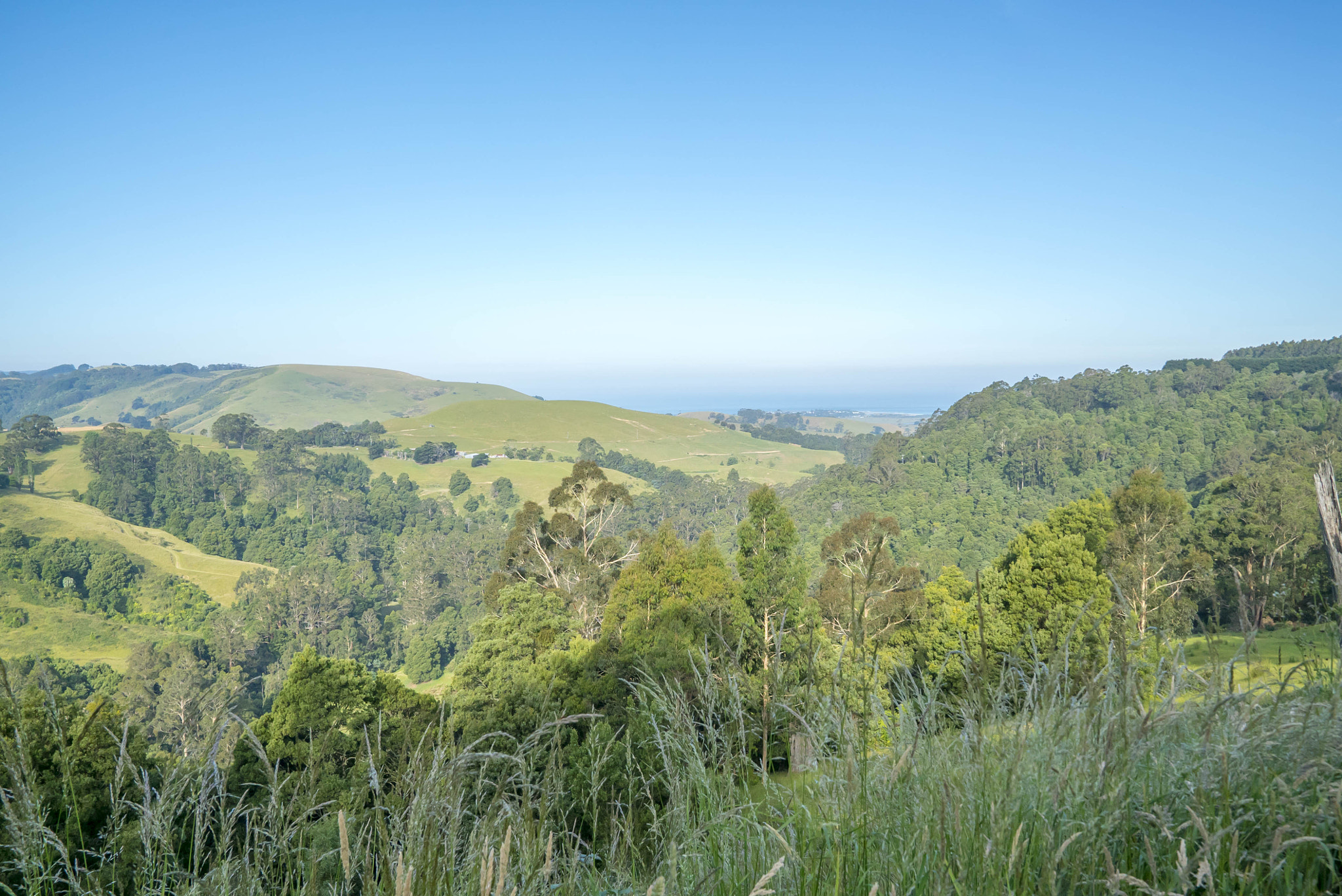 Sony a7S II + Sony FE 24-70mm F2.8 GM sample photo. Great otway national park along the great ocean road photography