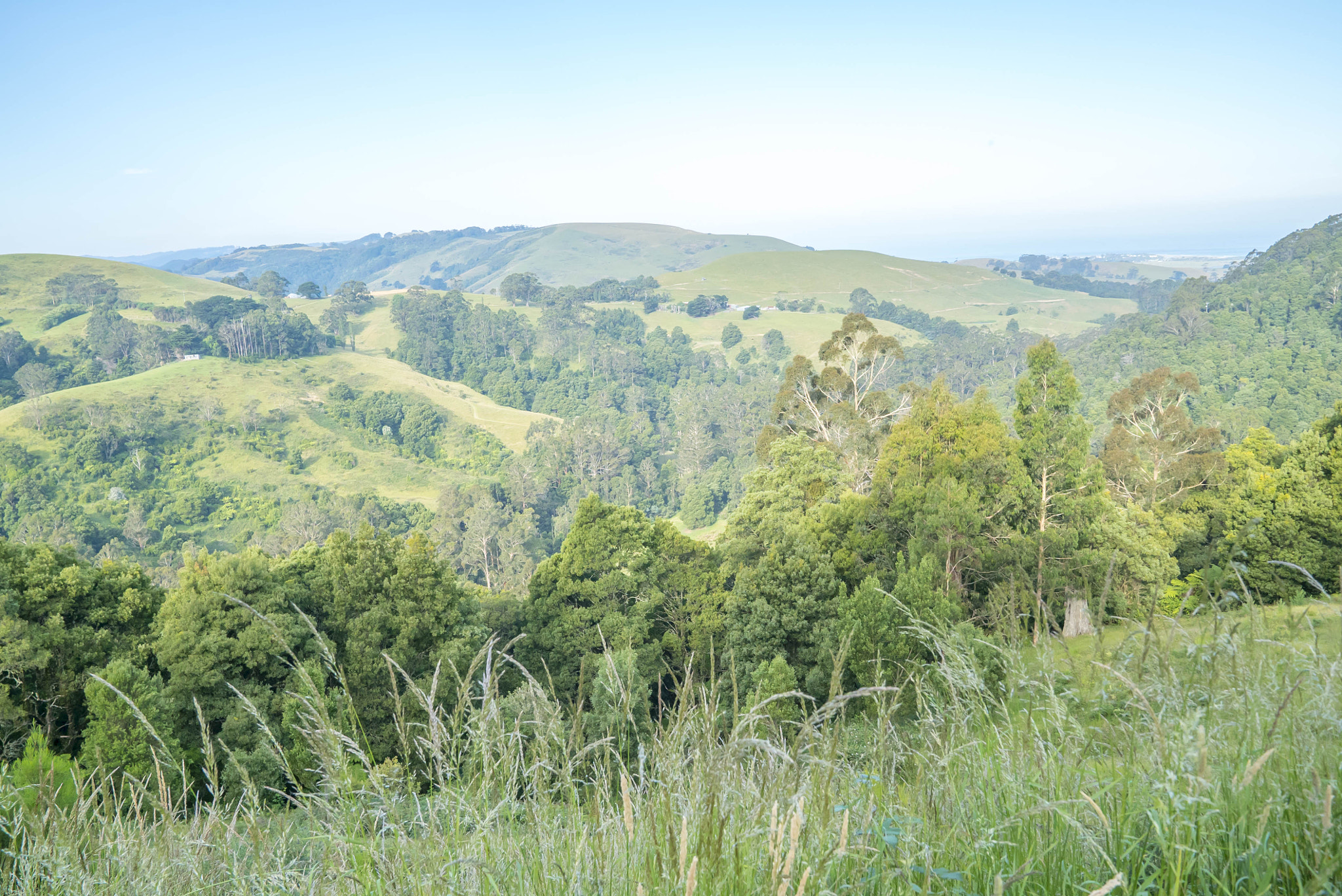 Sony a7S II + Sony FE 24-70mm F2.8 GM sample photo. Great otway national park along the great ocean road photography