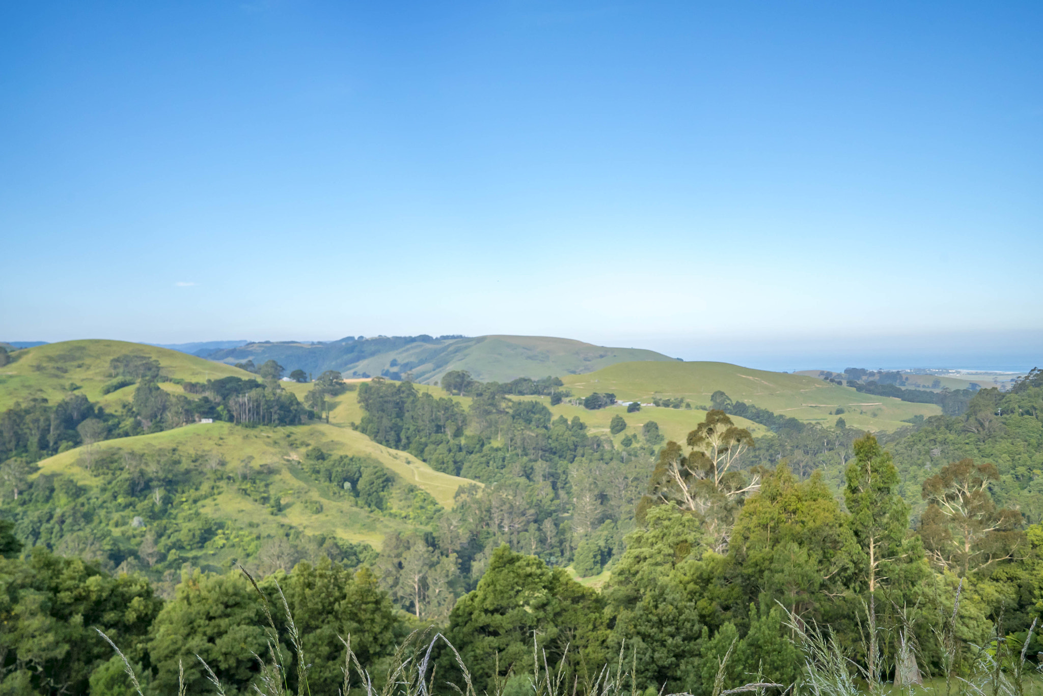 Sony a7S II + Sony FE 24-70mm F2.8 GM sample photo. Great otway national park along the great ocean road photography