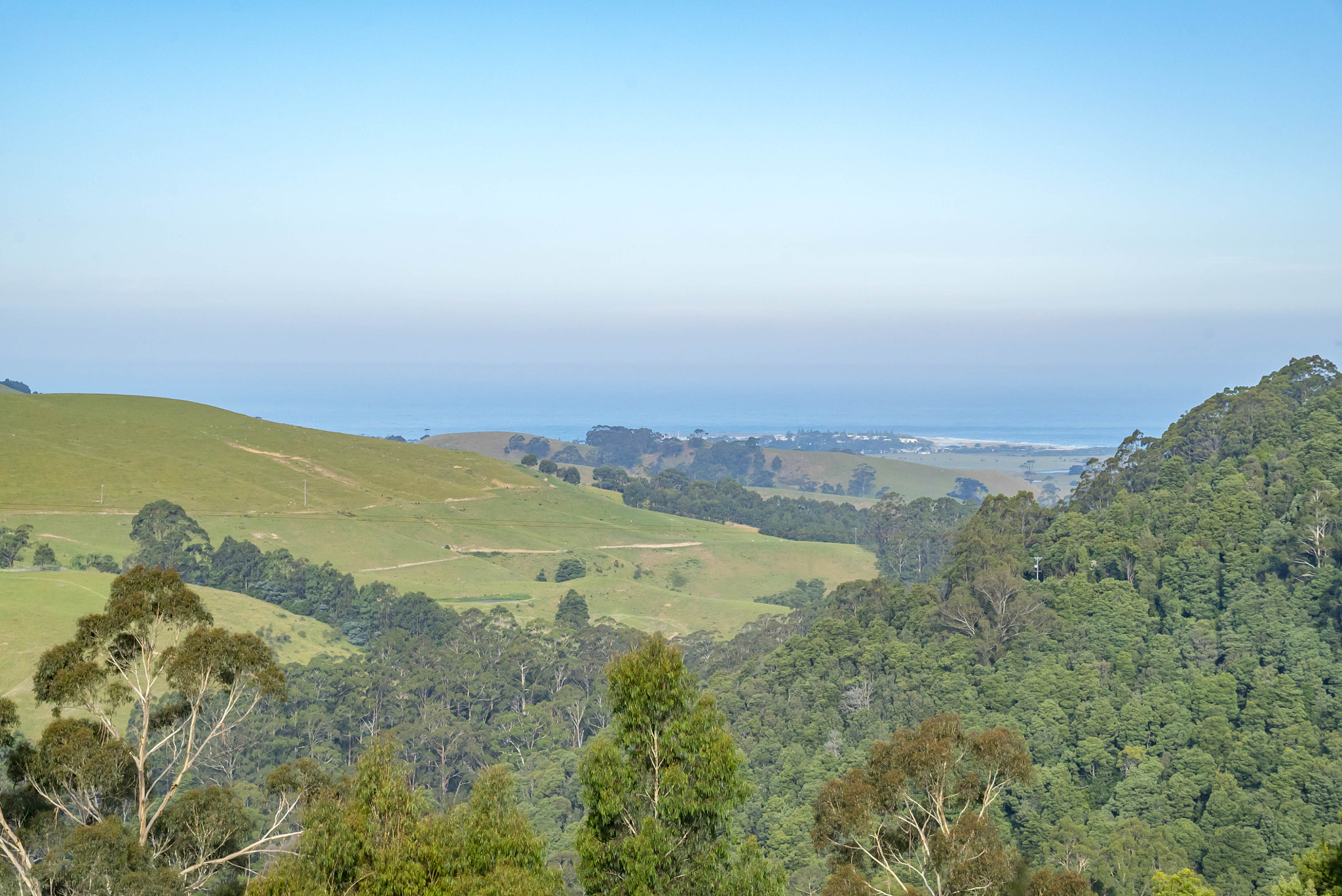 Sony a7S II + Sony FE 24-70mm F2.8 GM sample photo. Great otway national park along the great ocean road photography