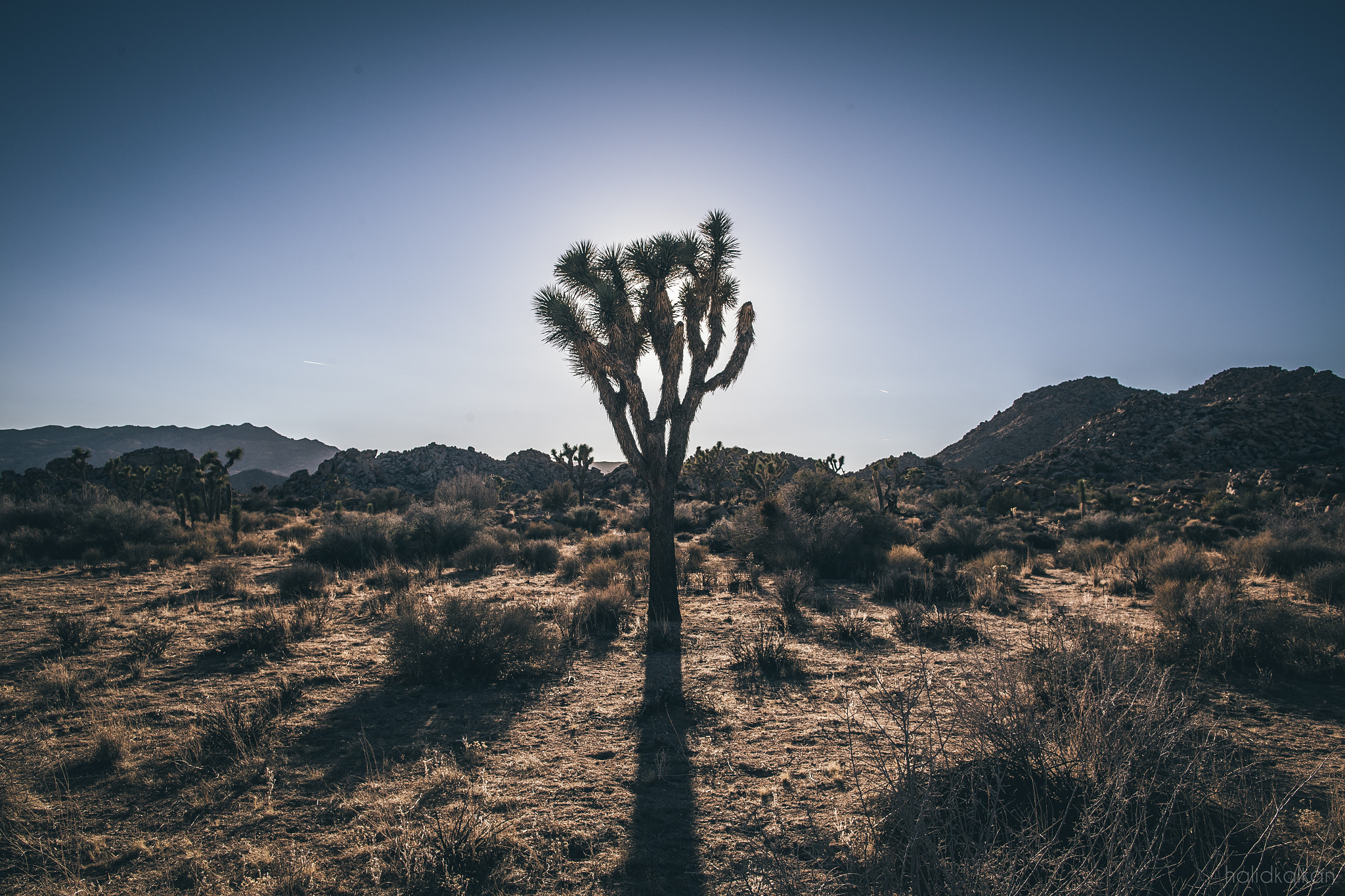 Canon EF 24mm F1.4L II USM sample photo. Burnt by light photography