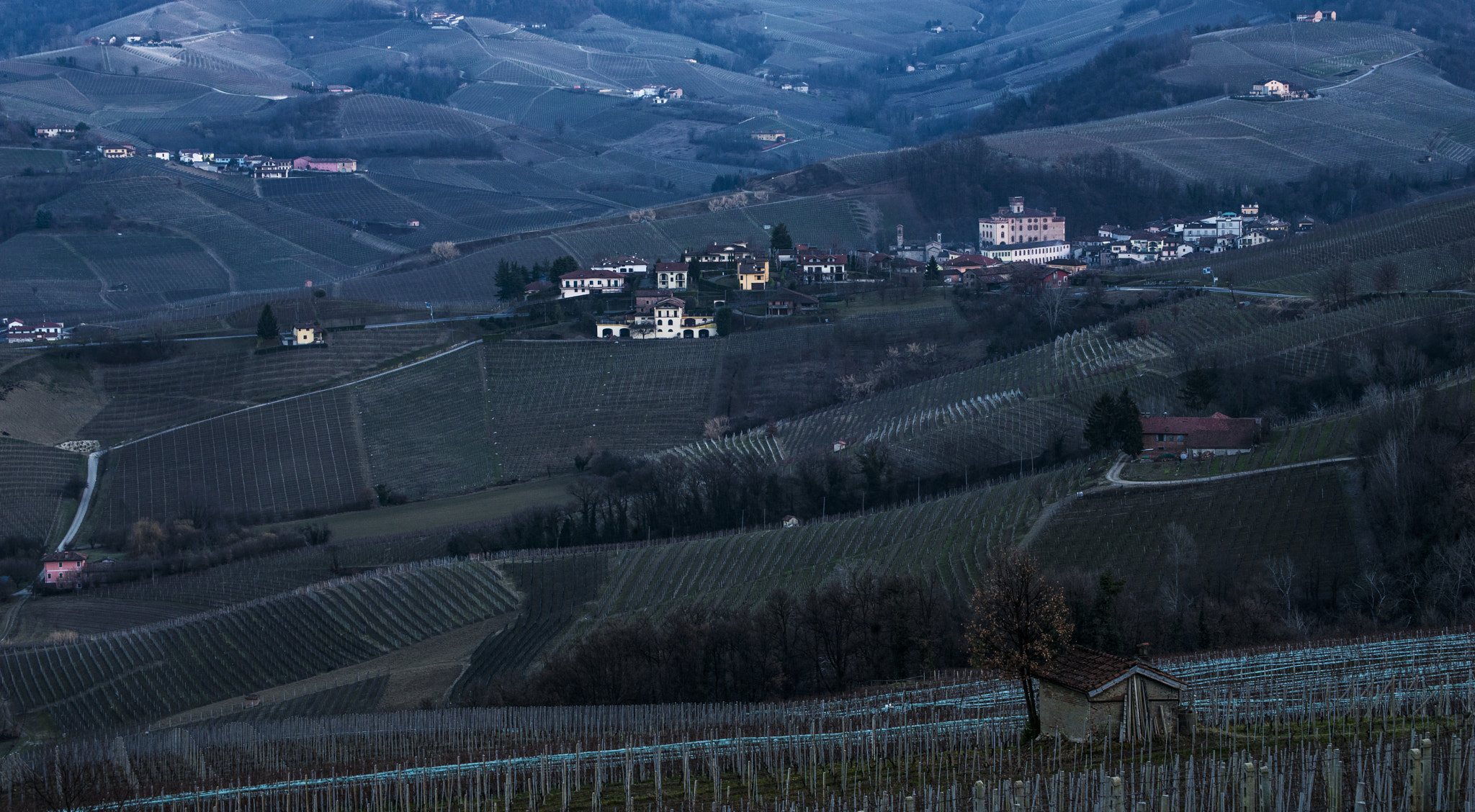 Nikon D800 sample photo. Barolo landscape photography