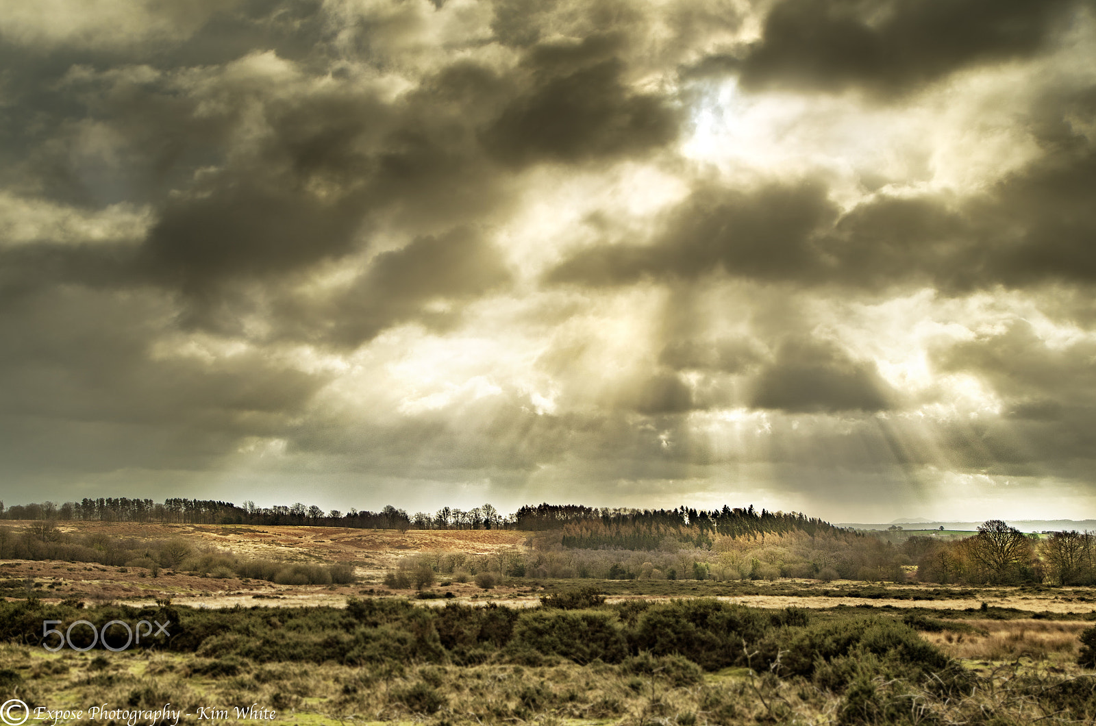 Nikon D500 sample photo. Peeps of light photography