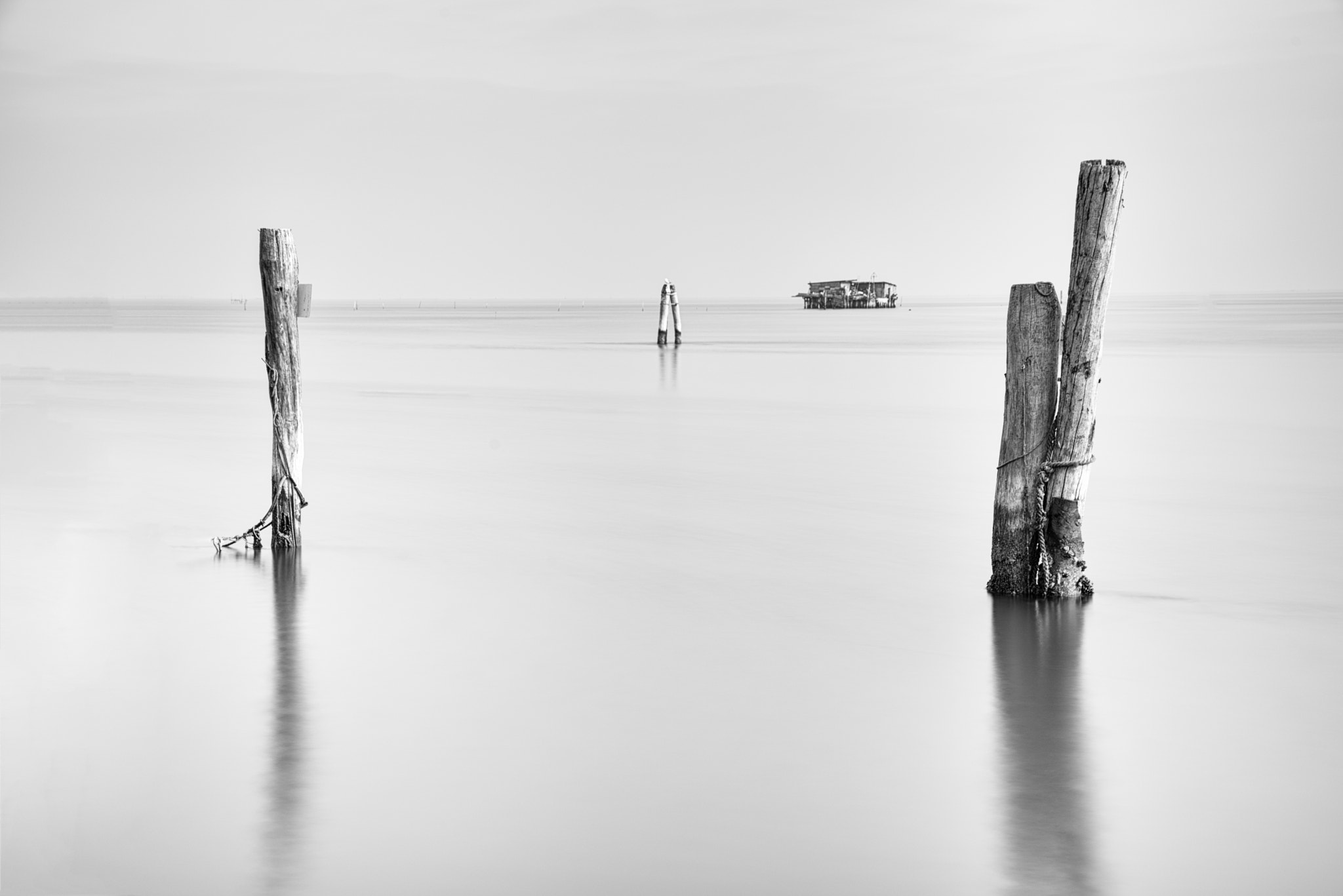 Nikon D750 + Sigma 24-105mm F4 DG OS HSM Art sample photo. Pellestrina 5 photography