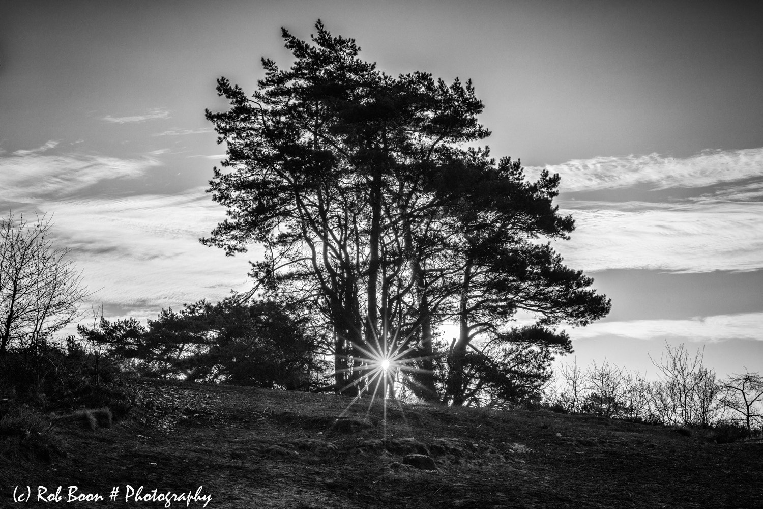 Canon EOS 5DS sample photo. Brunssummerheide 1 photography