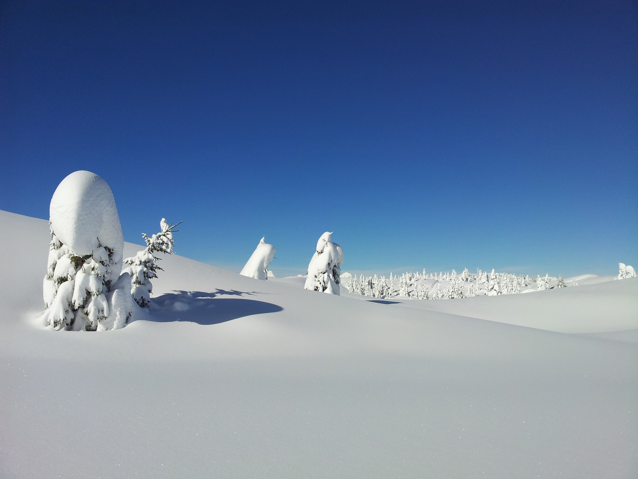 Samsung Galaxy Note sample photo. Neve zoncolan febbraio 2014 photography