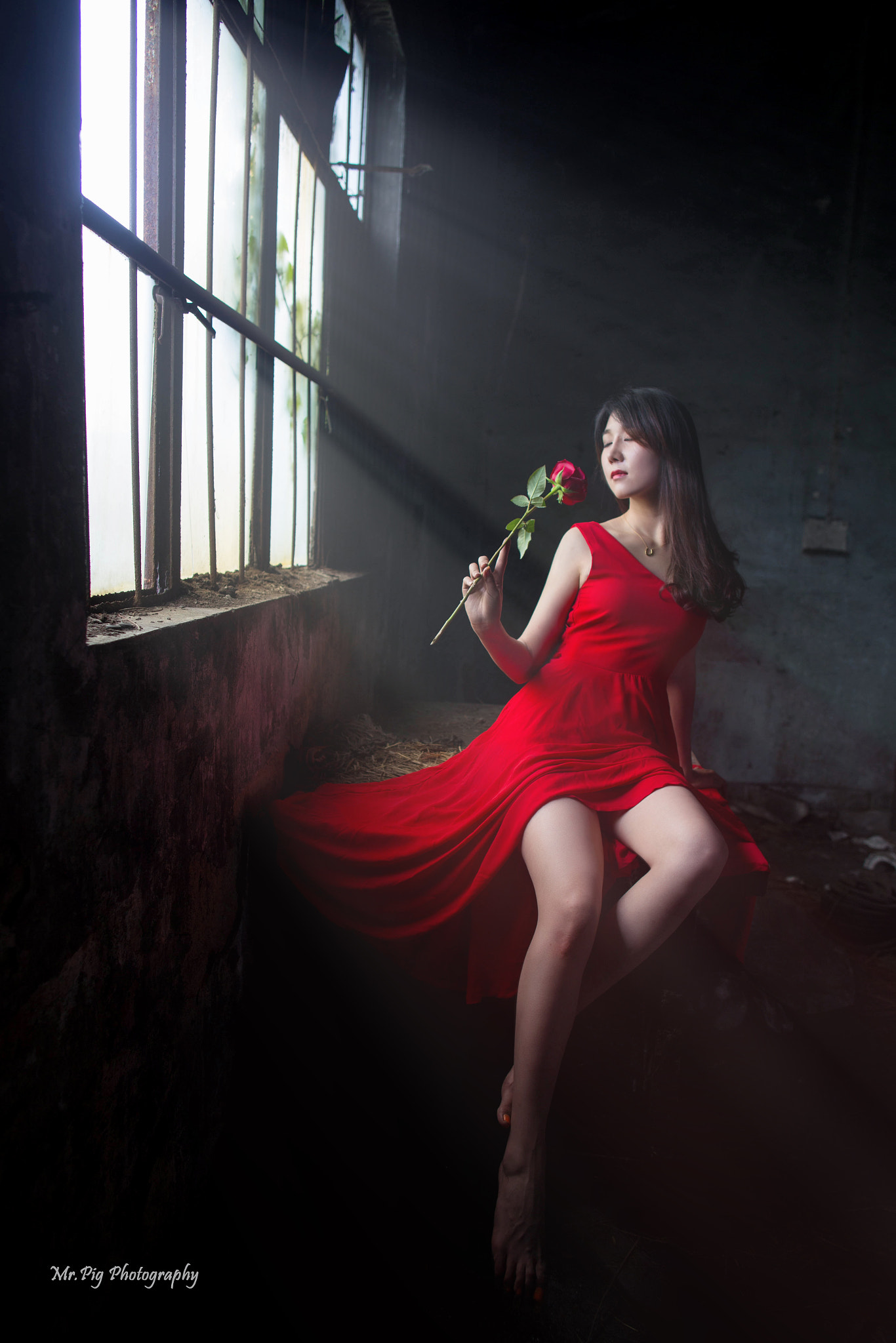 Canon EF 24mm F1.4L II USM sample photo. Beauty and rose photography