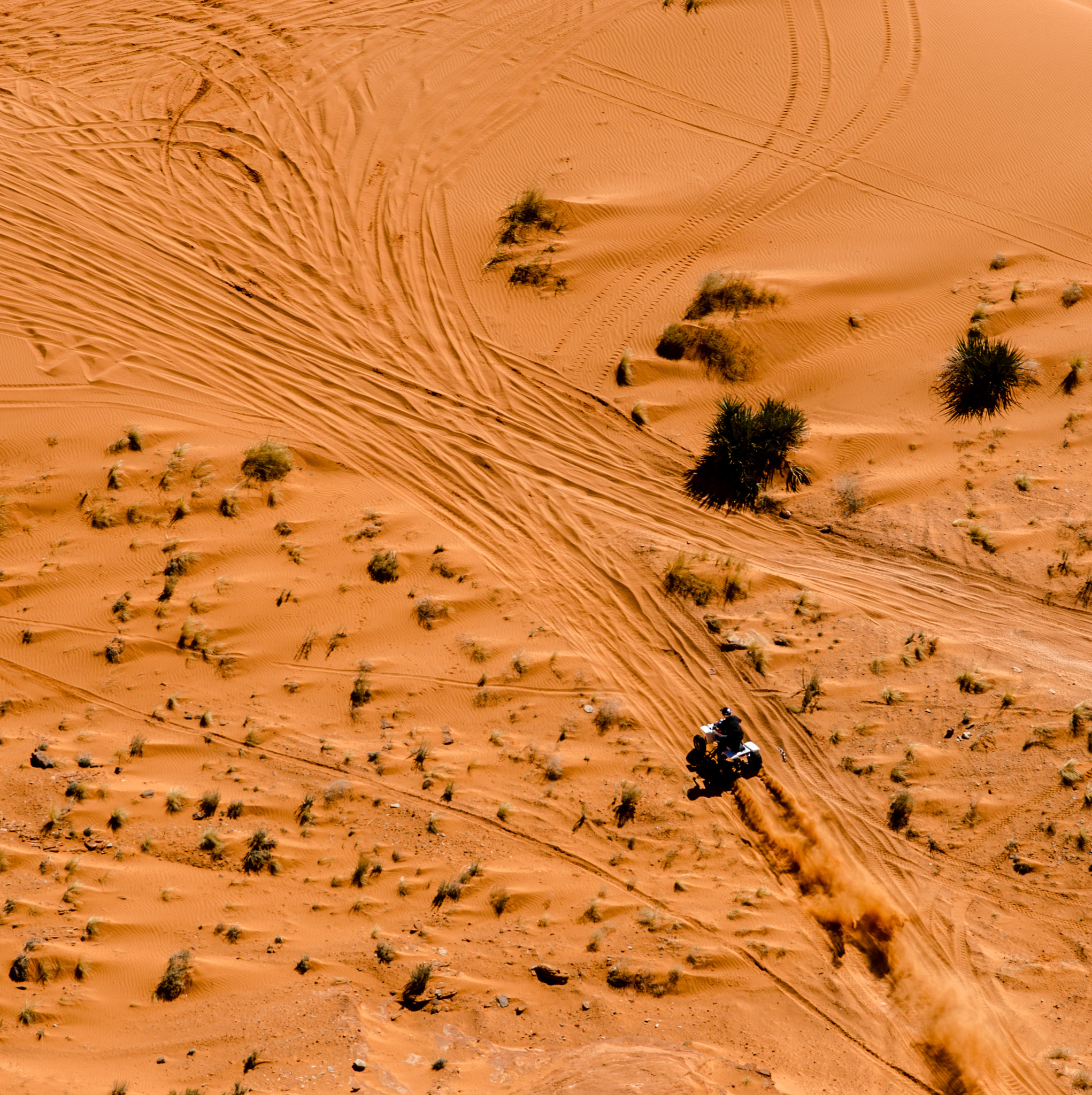 Nikon D7000 sample photo. Quad on the sand photography