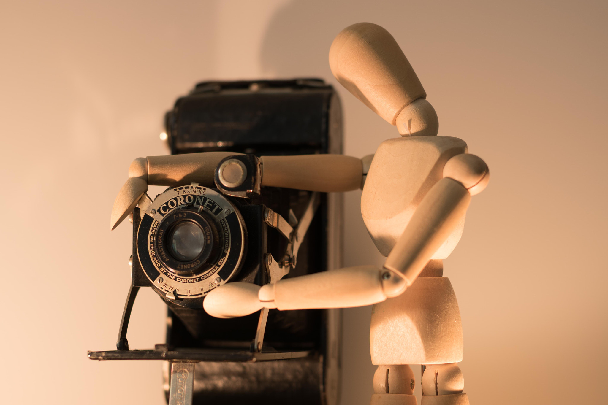 Sony Planar T* 50mm F1.4 ZA SSM sample photo