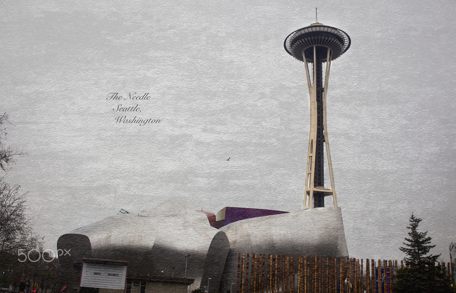 Canon EF 40mm F2.8 STM sample photo. The needle photography
