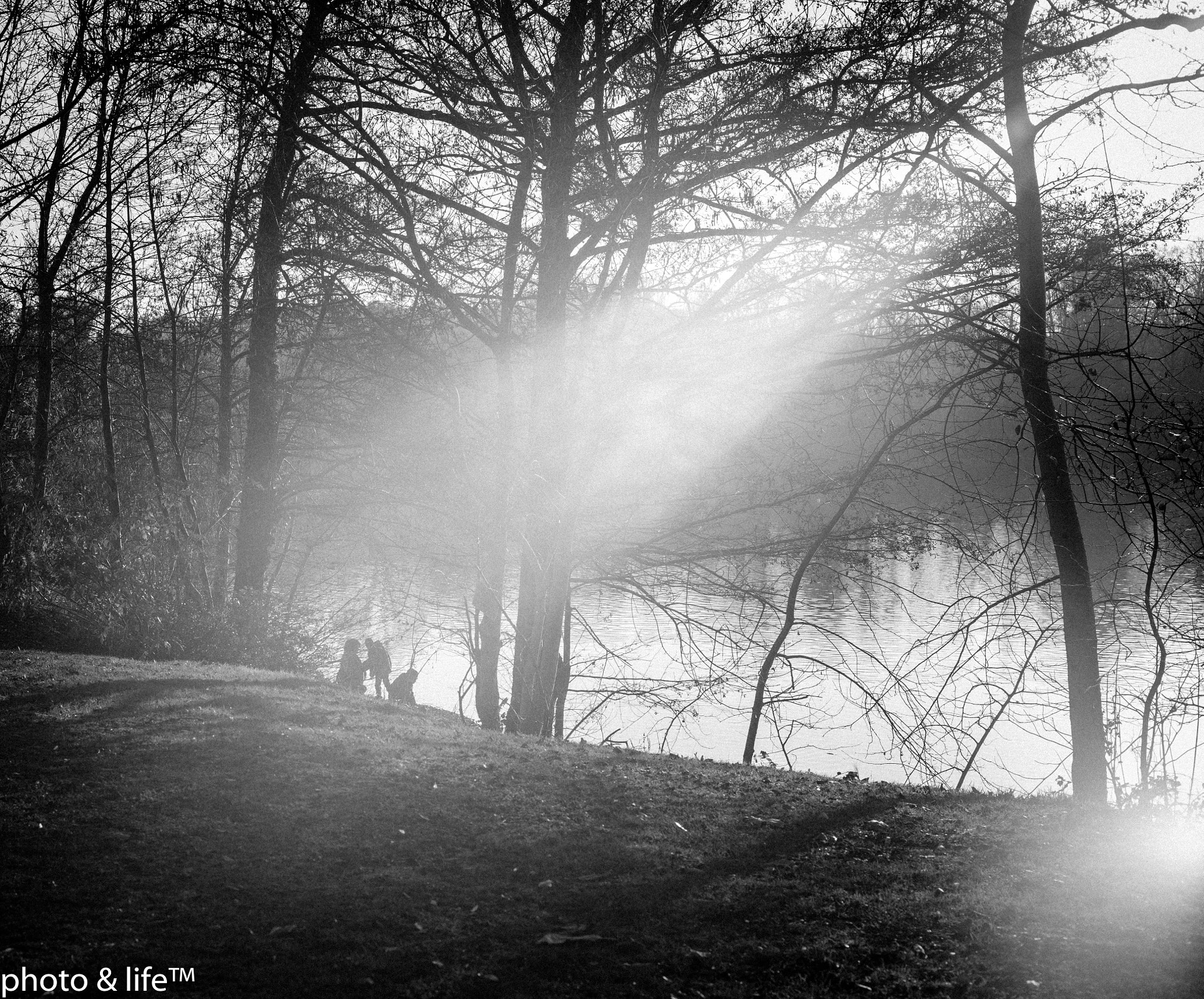 Summicron-M 1:2/50 sample photo. Gleam photography