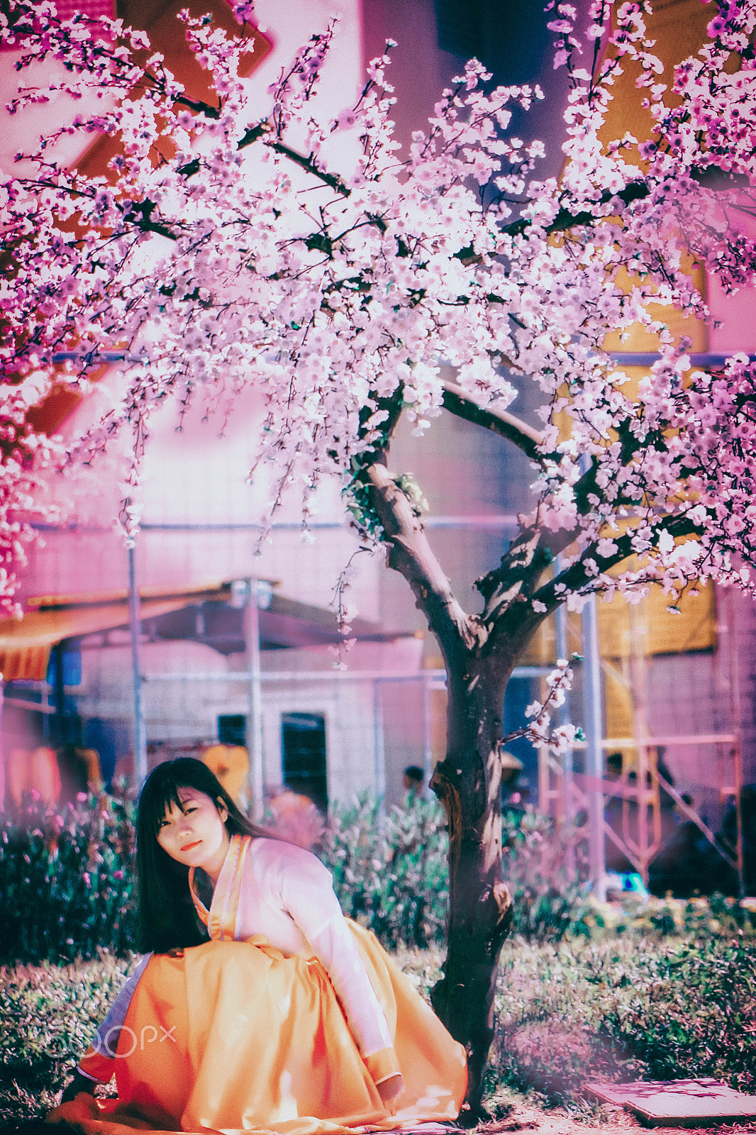 Canon EOS 50D + Tamron SP 70-300mm F4-5.6 Di VC USD sample photo. Sakura girl photography