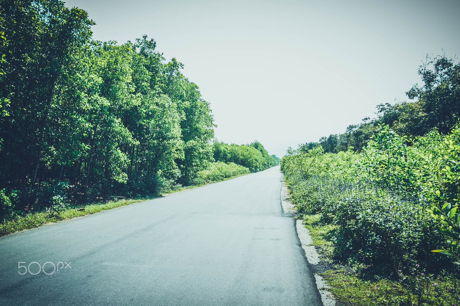 Canon EOS 50D + Canon EF 17-40mm F4L USM sample photo. Road to canh duong photography