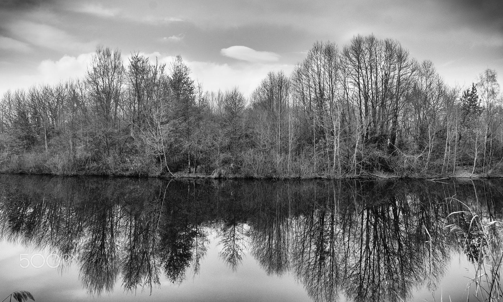 Sony Alpha NEX-3 + Sony E 18-55mm F3.5-5.6 OSS sample photo. B/w lake photography