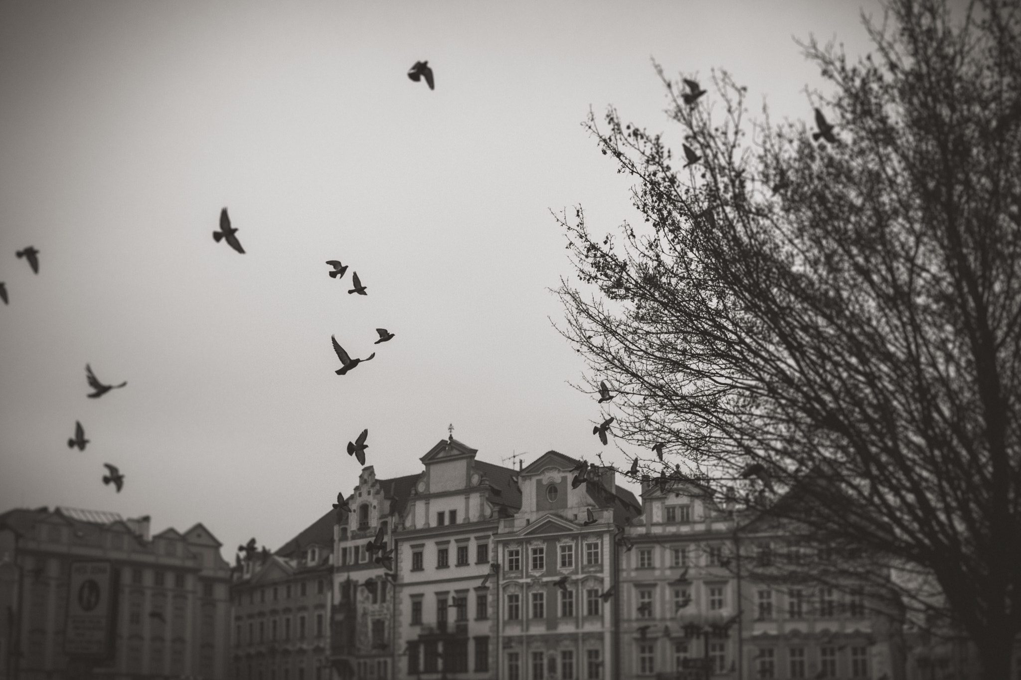 Canon EOS 700D (EOS Rebel T5i / EOS Kiss X7i) + Sigma 30mm F1.4 EX DC HSM sample photo. Old town square, prague photography