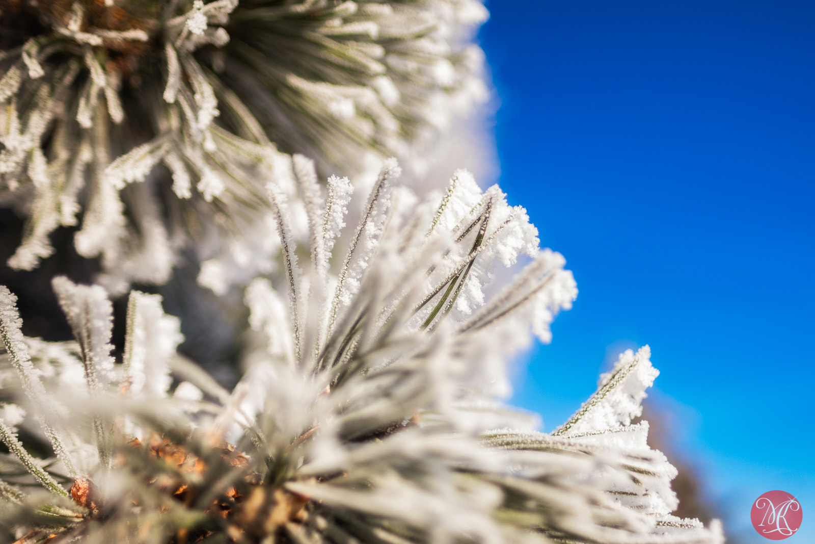Fujifilm XF 16mm F1.4 R WR sample photo. How can i not enjoy a gorgeous day?! photography