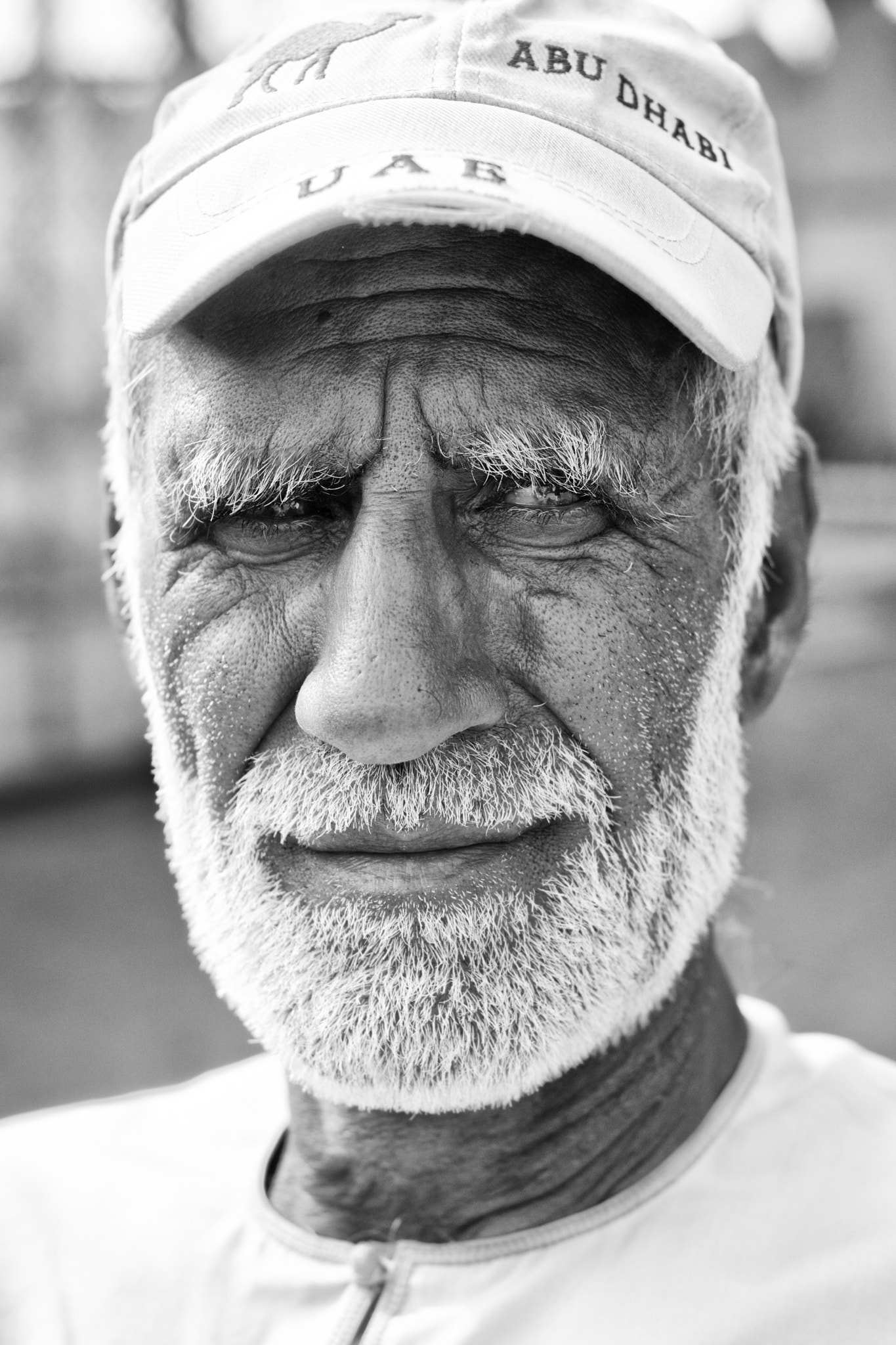 Minolta AF 50mm F1.7 sample photo. Camel handler photography