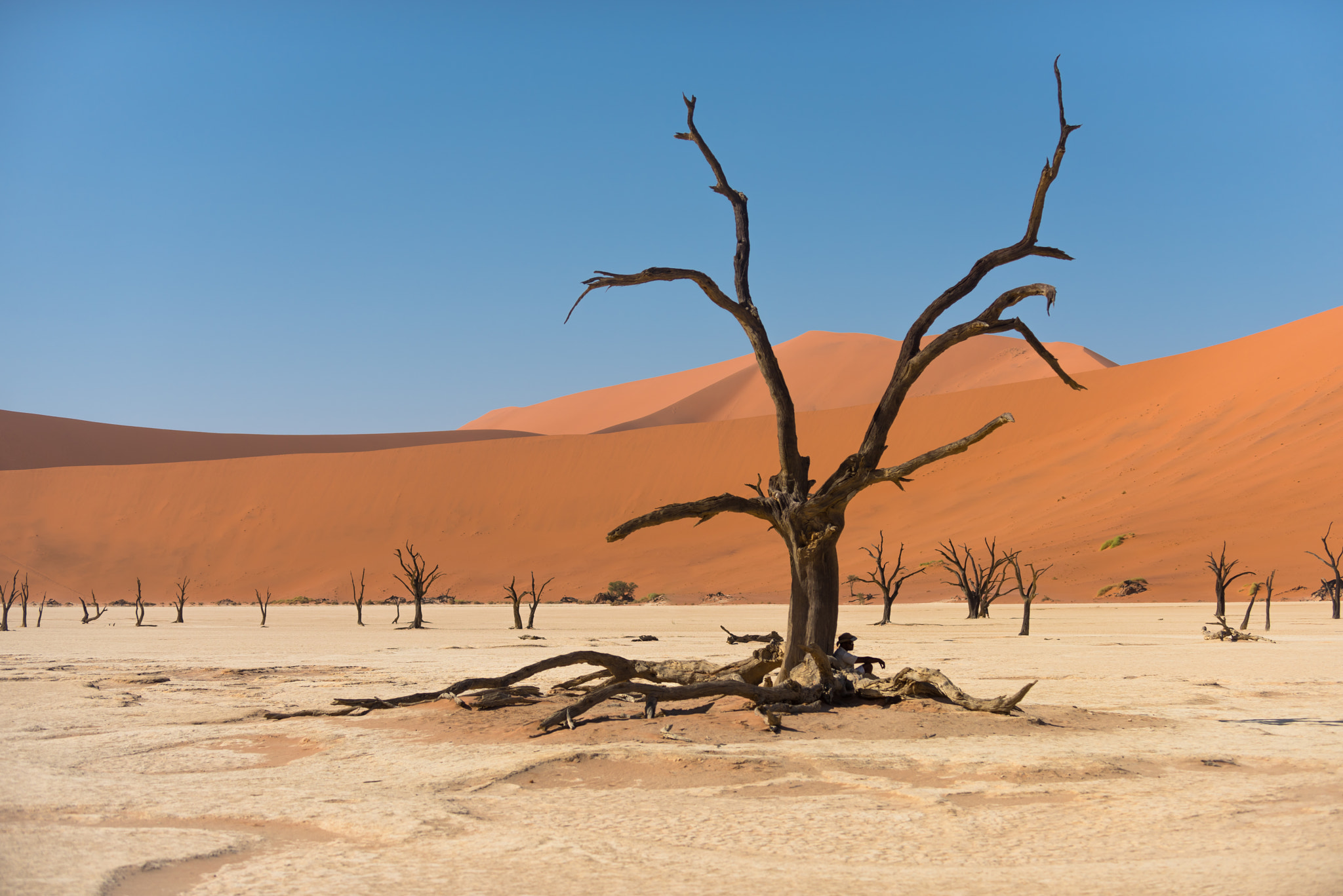 Nikon D810 sample photo. Desert wasteland photography