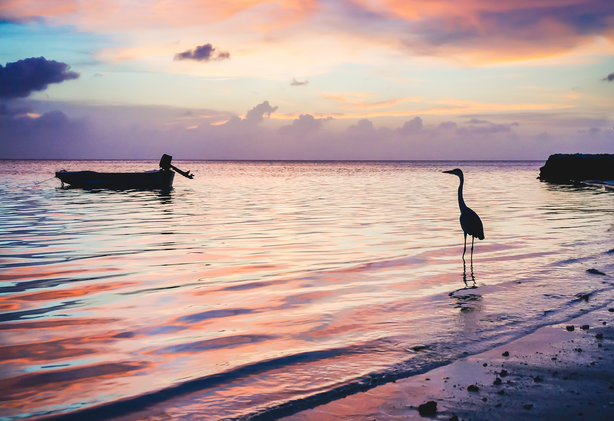 Sony Alpha NEX-6 sample photo. Heron photography