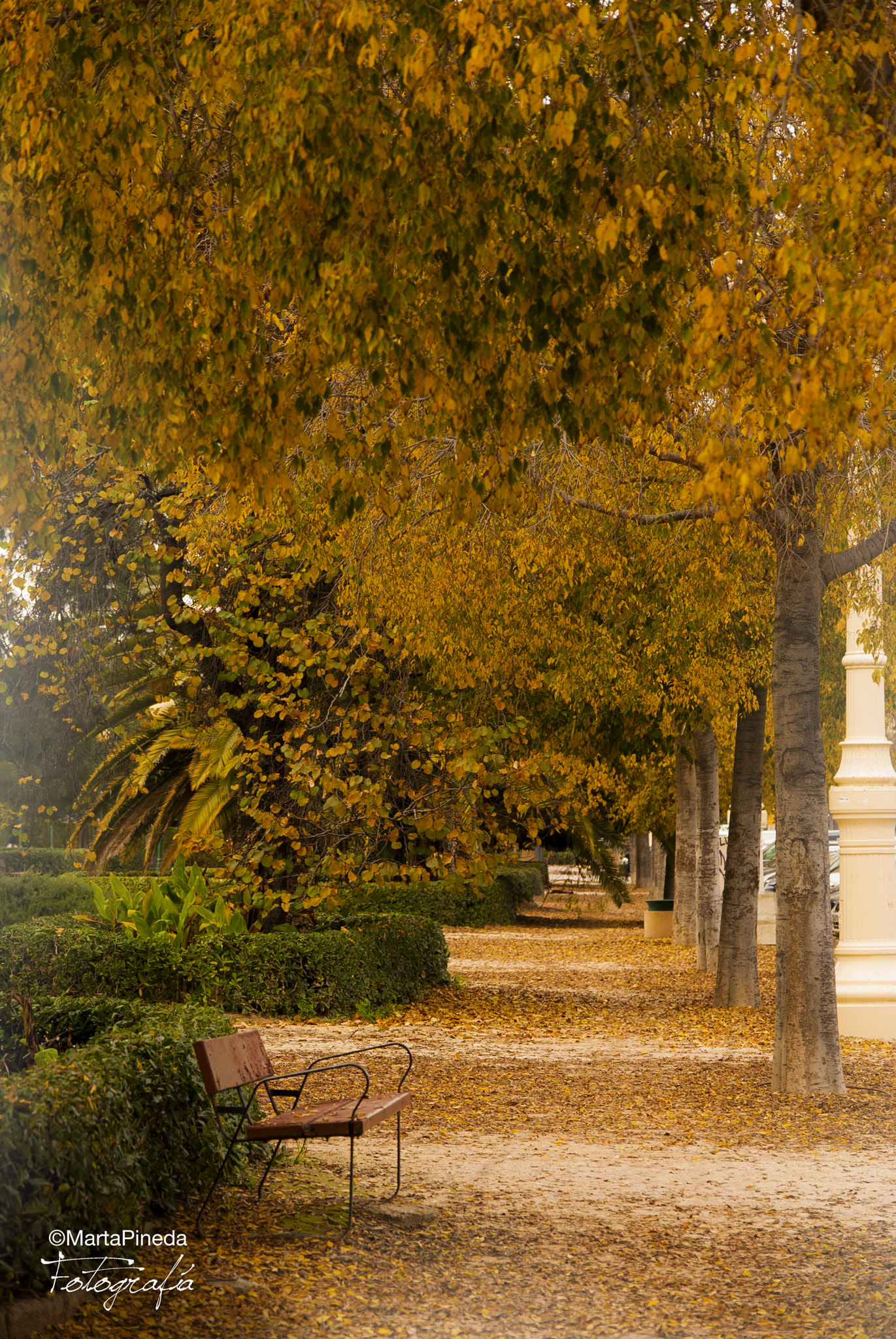 Nikon D60 sample photo. Frio otoño. valencia photography