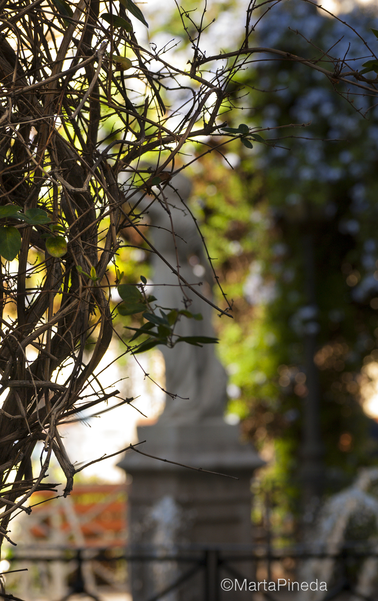 Nikon D60 sample photo. Plaza joan de vila rasa photography