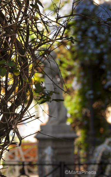 Nikon D60とNIKKOR55-200 Amazon.co.jp: Nikon 望遠ズームレンズ AF-S DX VR Zoom Nikkor