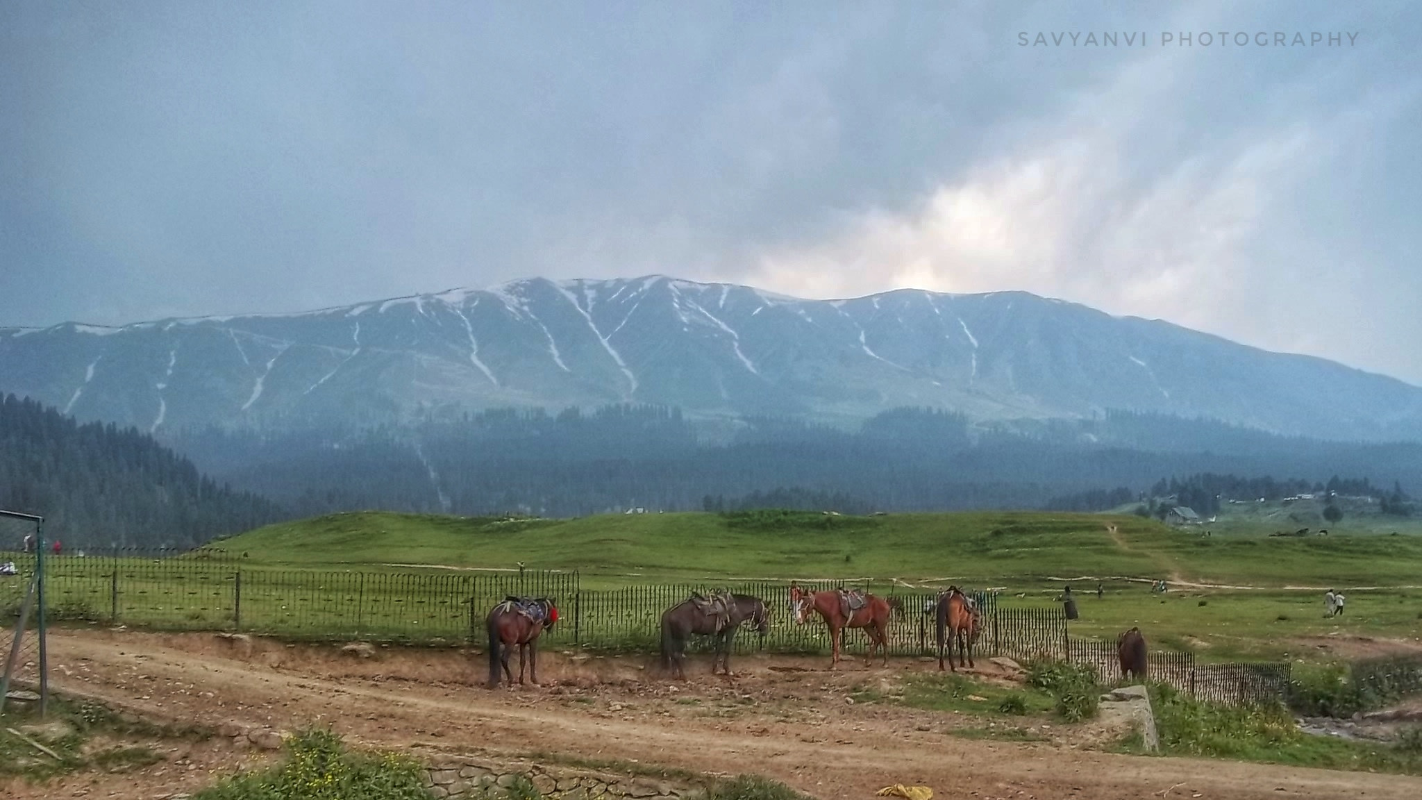 Kodak EASYSHARE C143 DIGITAL CAMERA sample photo. Beautiful kashmir photography