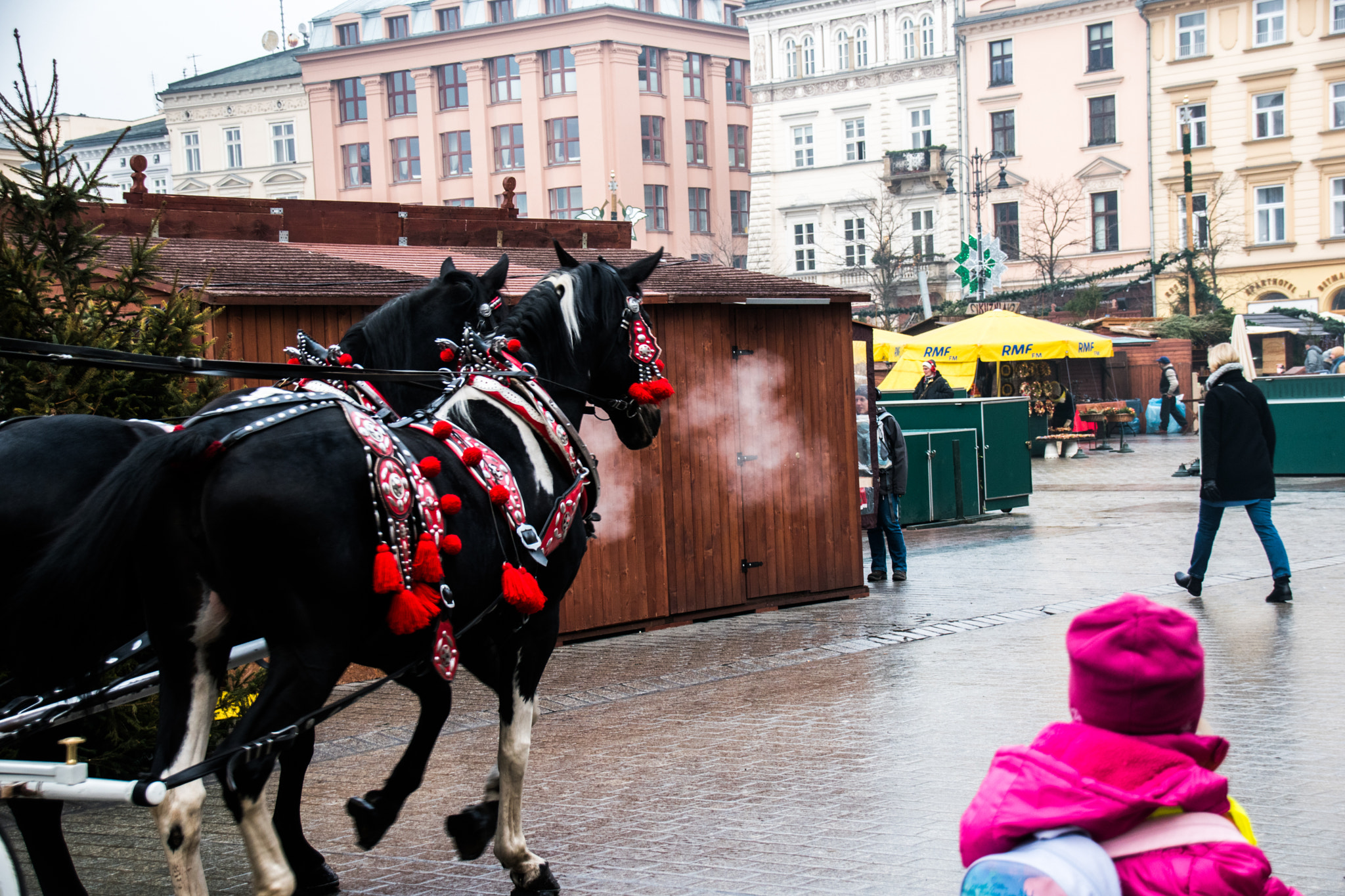 Sigma 18-250mm F3.5-6.3 DC Macro OS HSM sample photo. Horse drawn carriage in krakow photography