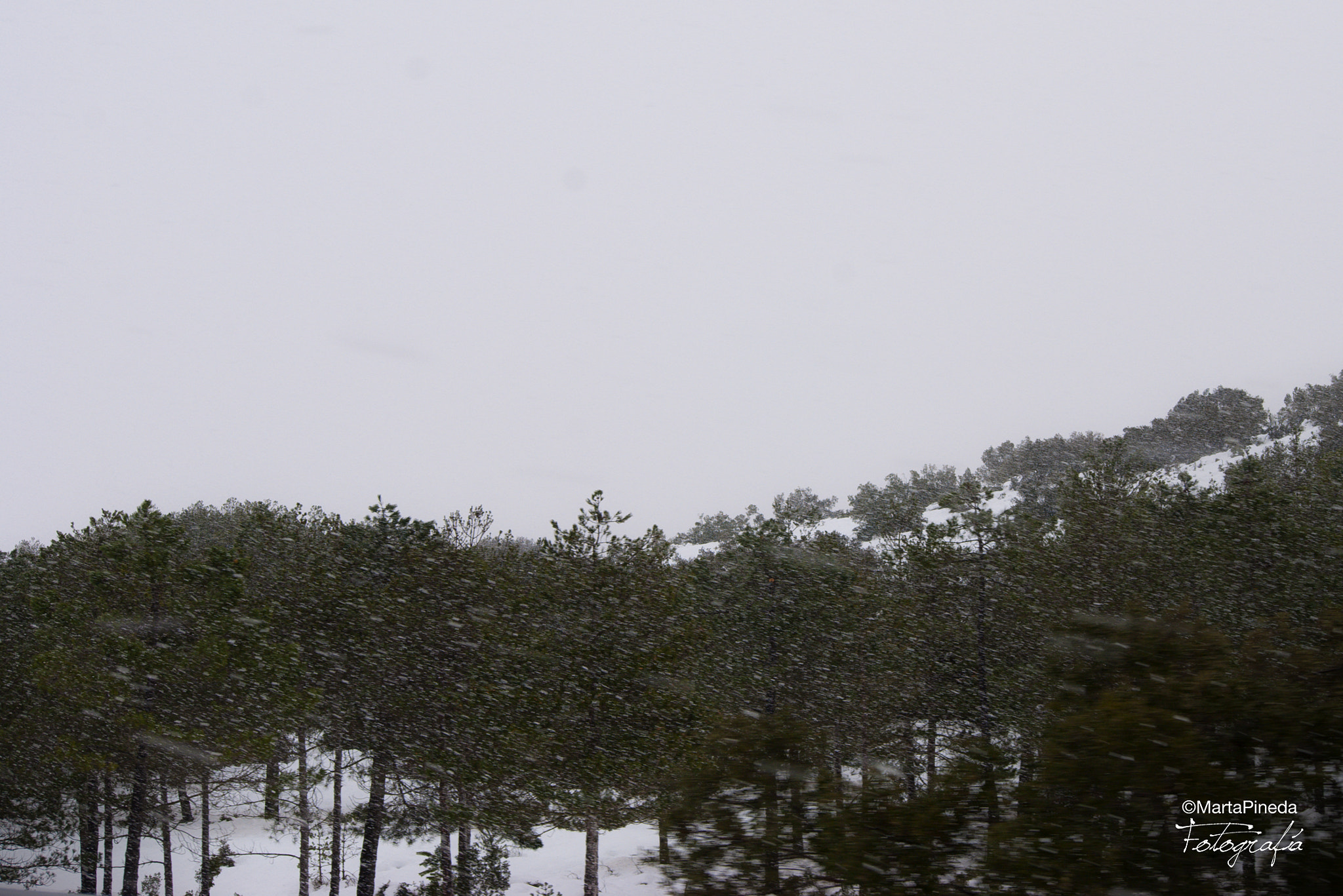 Nikon D60 sample photo. Nieve. barracas, viver photography