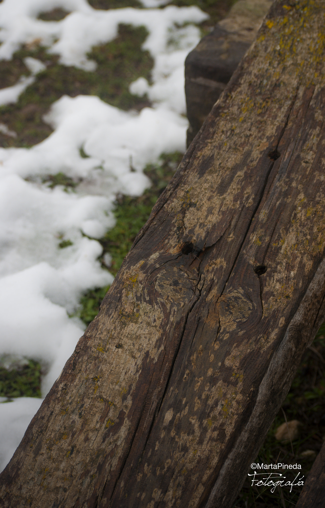 Nikon D60 sample photo. Nieve. barracas, viver photography